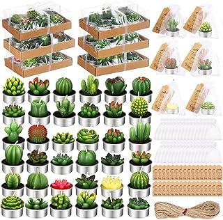 14 Wedding Chair Decoration Ideas That Elevate the Ceremony Look 45 Treela 36 Pcs Cactus Succulent Tealight Candles with 36 Organza Gift Bag...