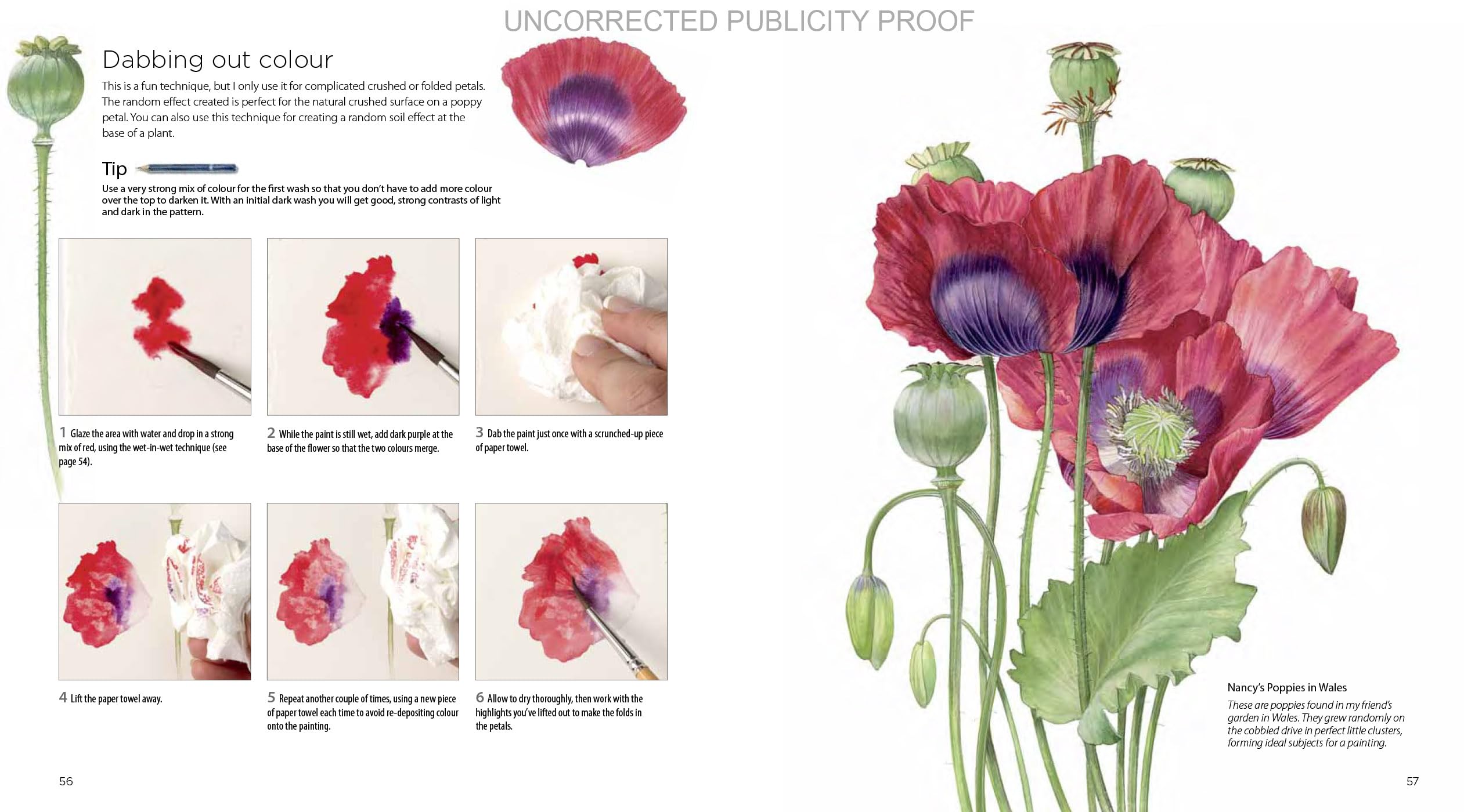 Billy Showell Botanical Painting Watercolour