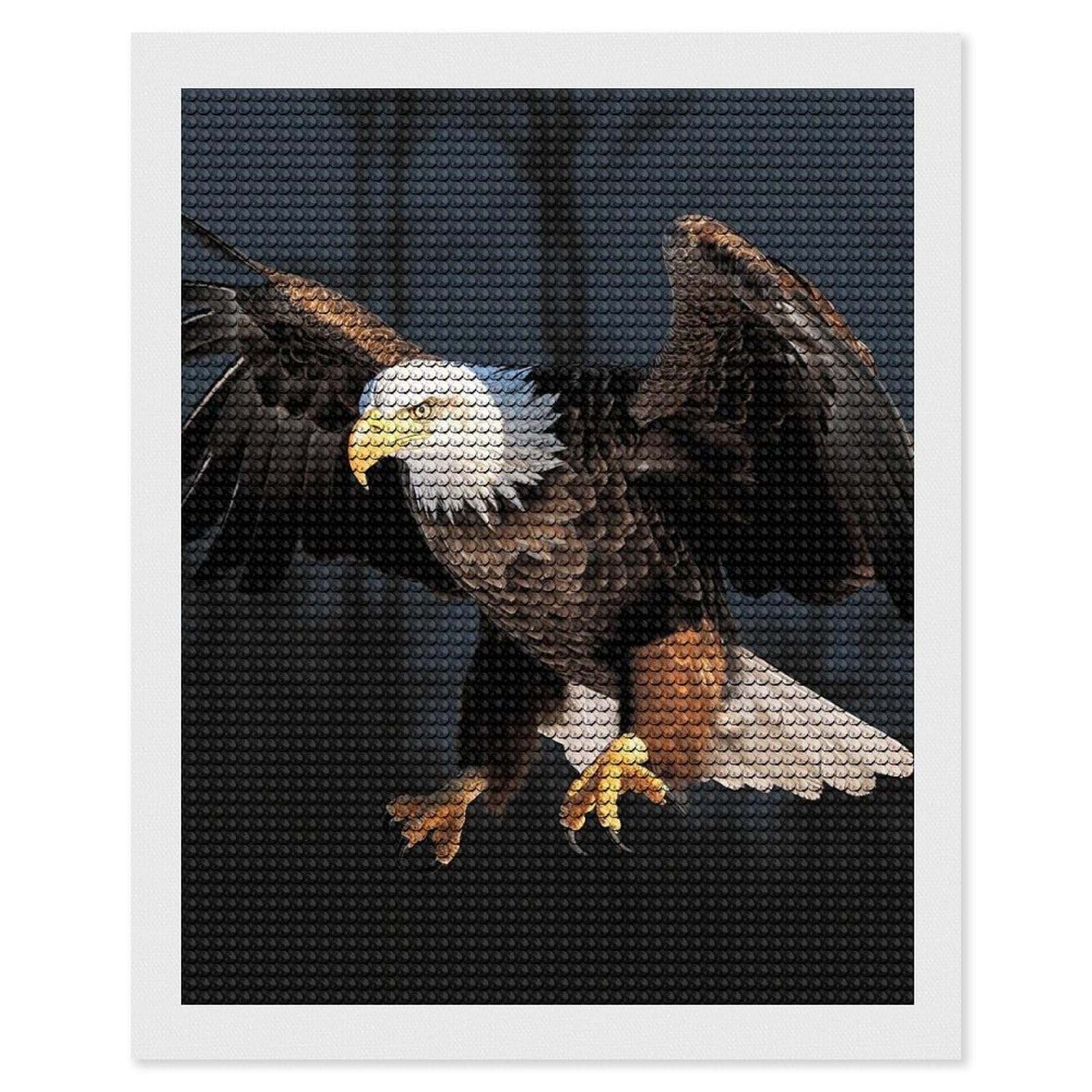 FodPand Bald Eagle 5D Diamond Painting Kits for Adults Beginners Full Drill Round Diamond Dots Pictures Gem Art Supplies for Home Wall Room Decoration DIY Craft Set Gift 16x20