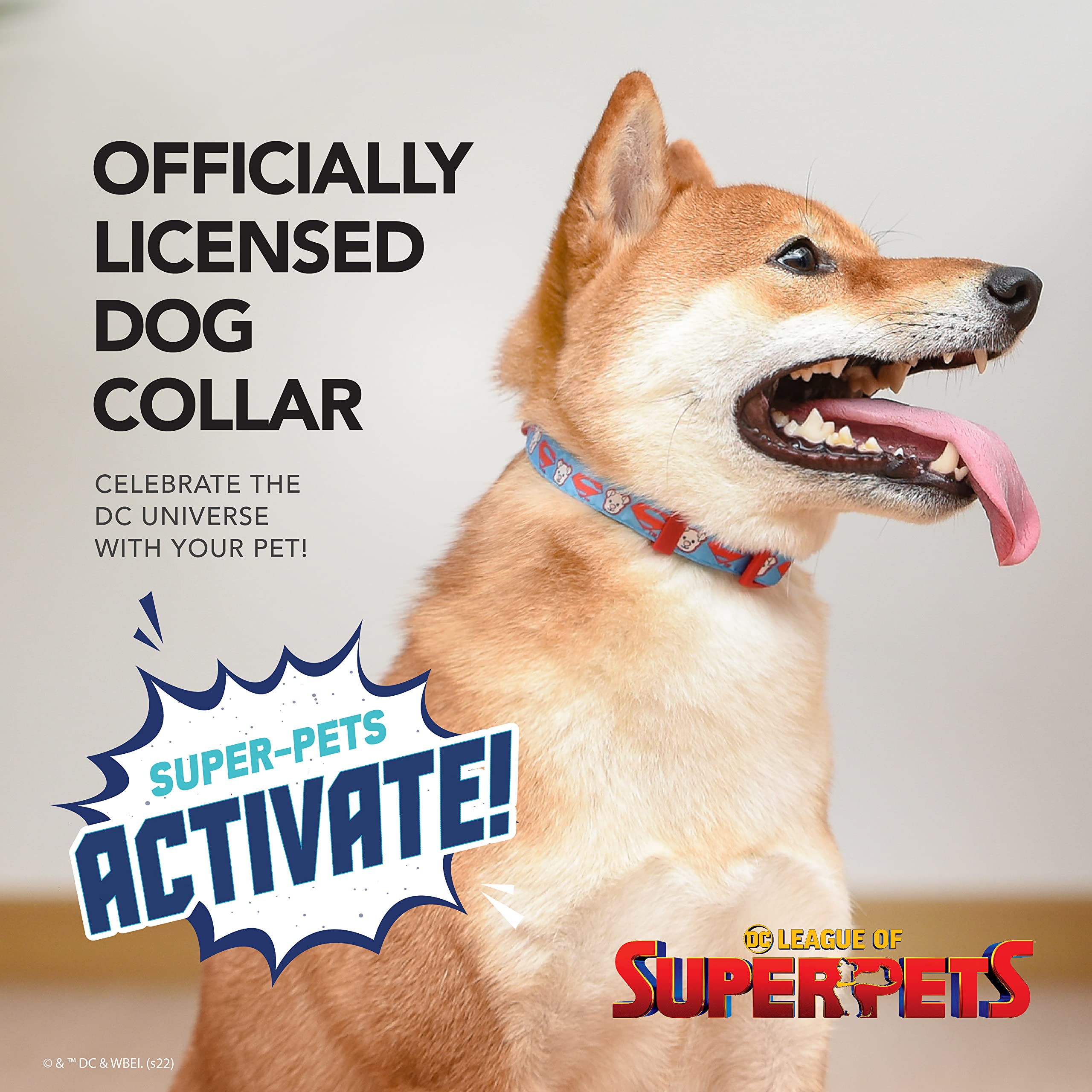 DC Comics League of Super-Pets Krypto Superman Dog Collar, Small | Officially Licensed DC League of Super-Pets Dog Collar | Small Dog Collar DC Krypto Super Dog Superman Style with D-Ring for Leash