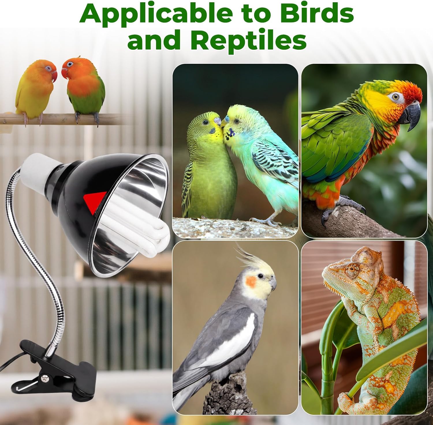 GlowUp UVB 2.4 Bird Cage Light Combo Kit, Bird lamp for Captive Birds