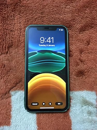 Apple iPhone 11 (256GB) - Green (Includes EarPods, Power Adapter