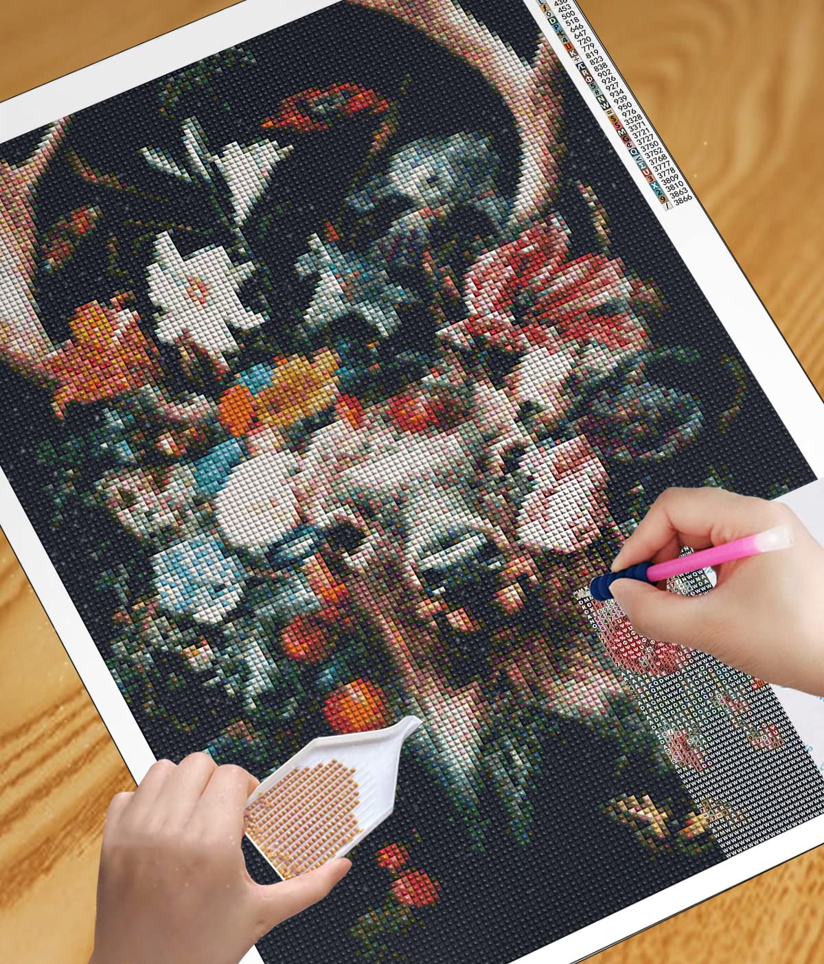 View 5