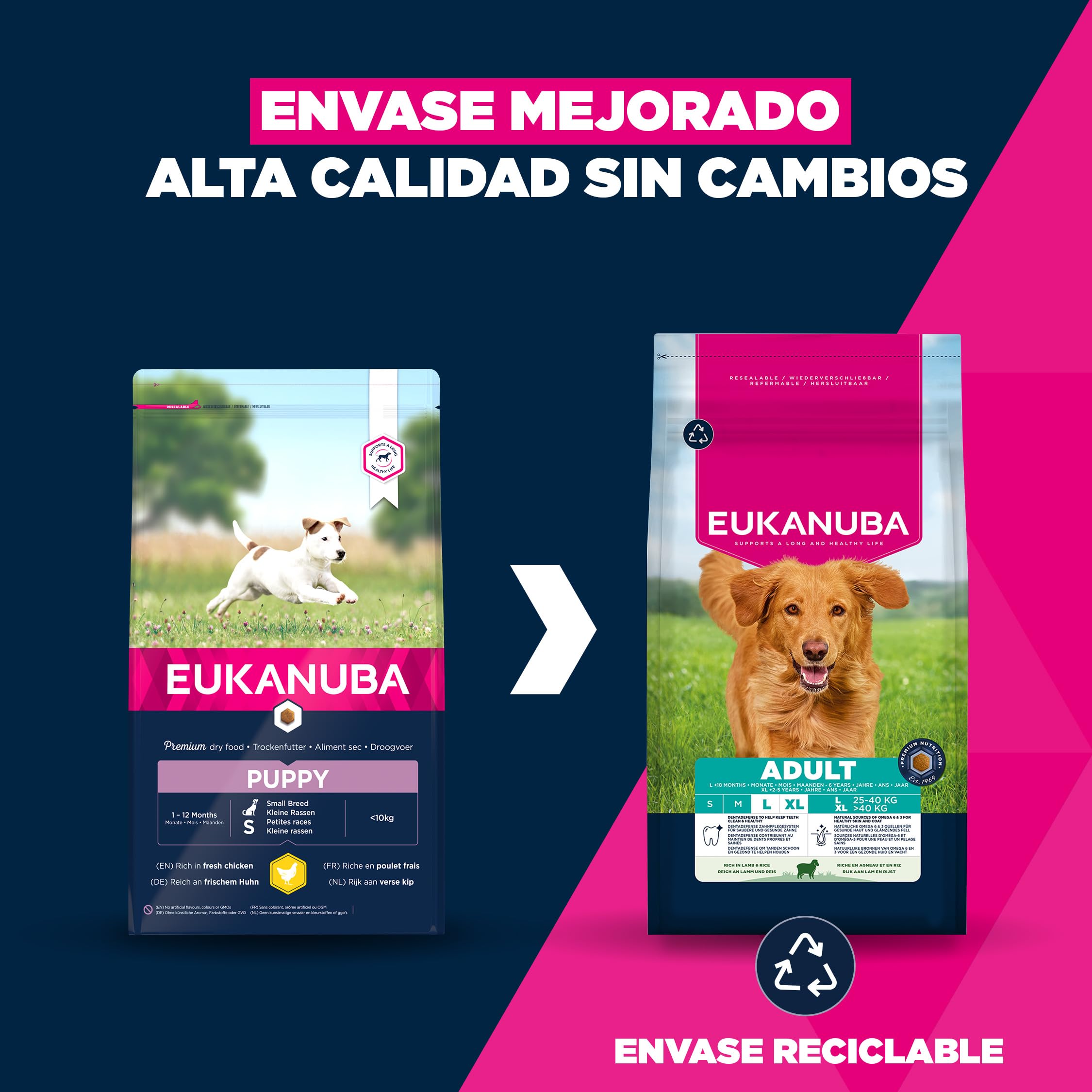 Eukanuba, alimento seco para Perros con Cordero y arroz para Razas Grandes - Alimento seco Premium para Perros Adultos, 12 kg