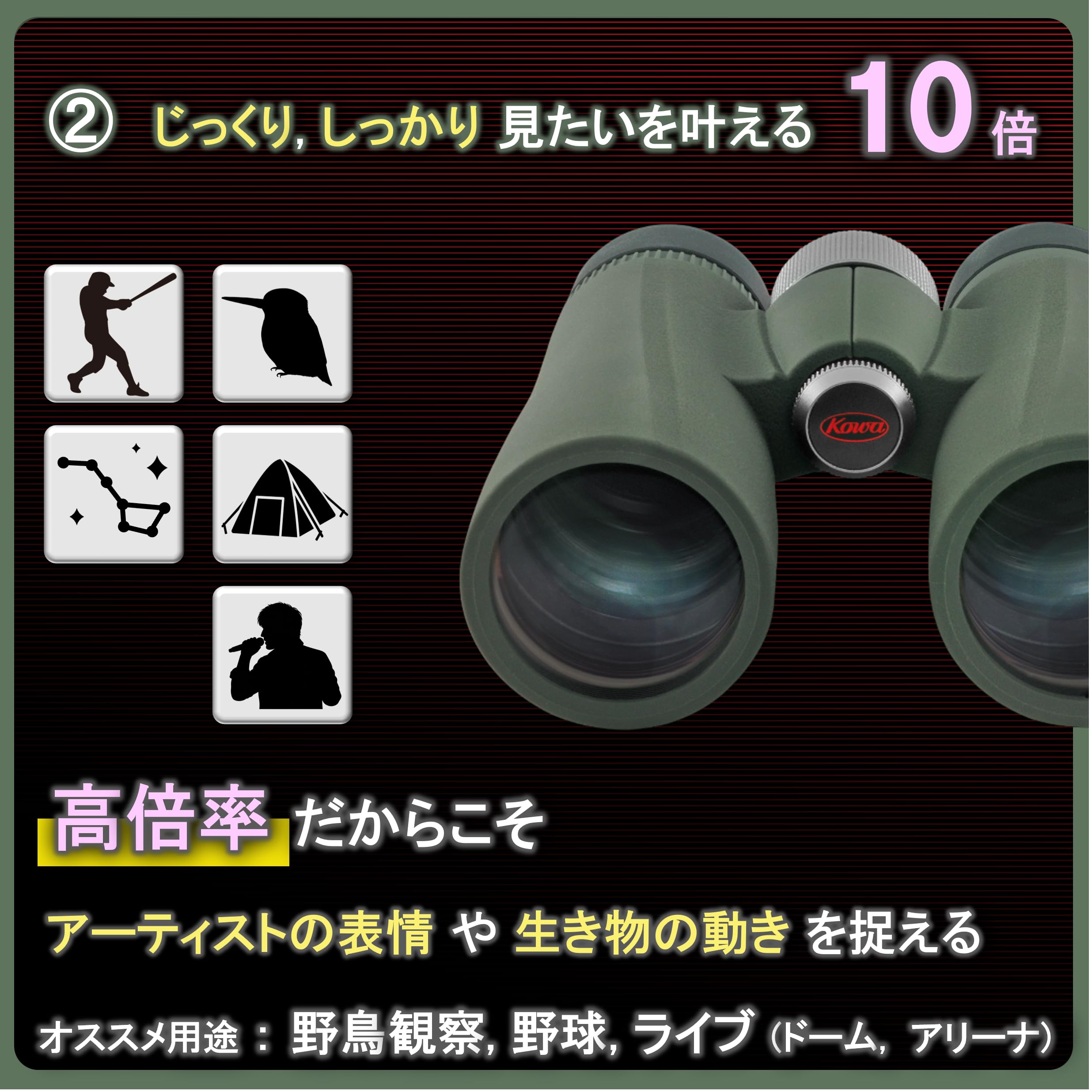 Kowa BD II XD 10x42