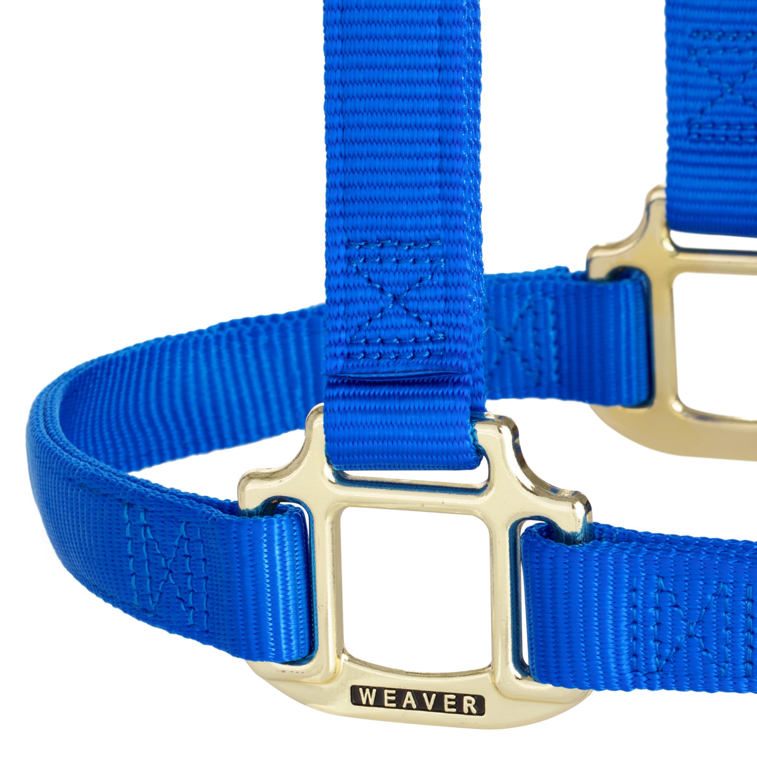 Weaver Leather Original - Cavezza non regolabile, per cavallo tra 1 e 2 anni, M, blu