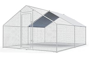 Super Sized Chicken Coop with Oversized Run