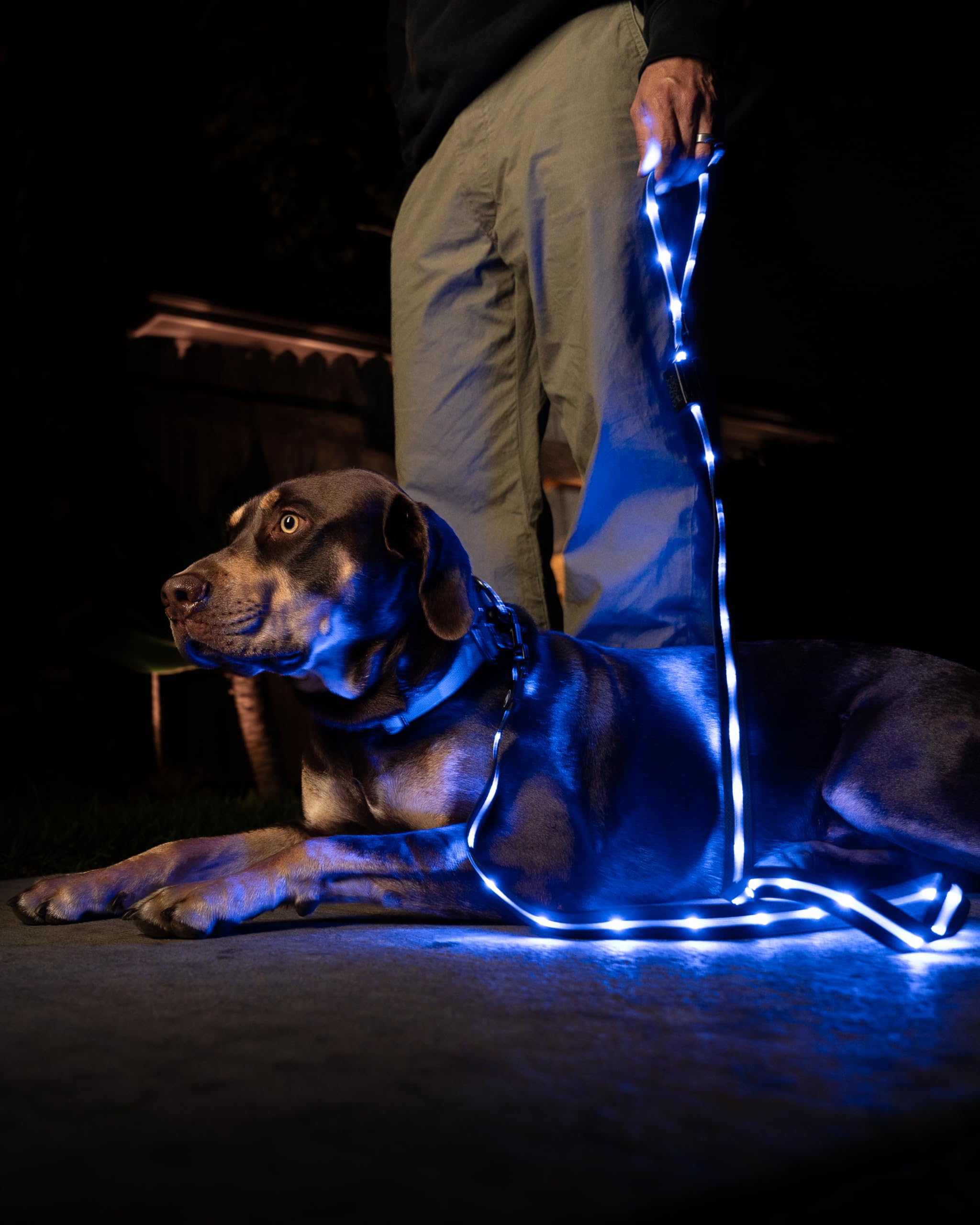 Luminoid LED-Hundeleine, wiederaufladbar über USB, RGB-Farbwechsel, beleuchtete Hundeleine, Hundeleinen machen das Haustier sichtbar und sicher für nächtliche Spaziergänge, 12 animierte Effekte,