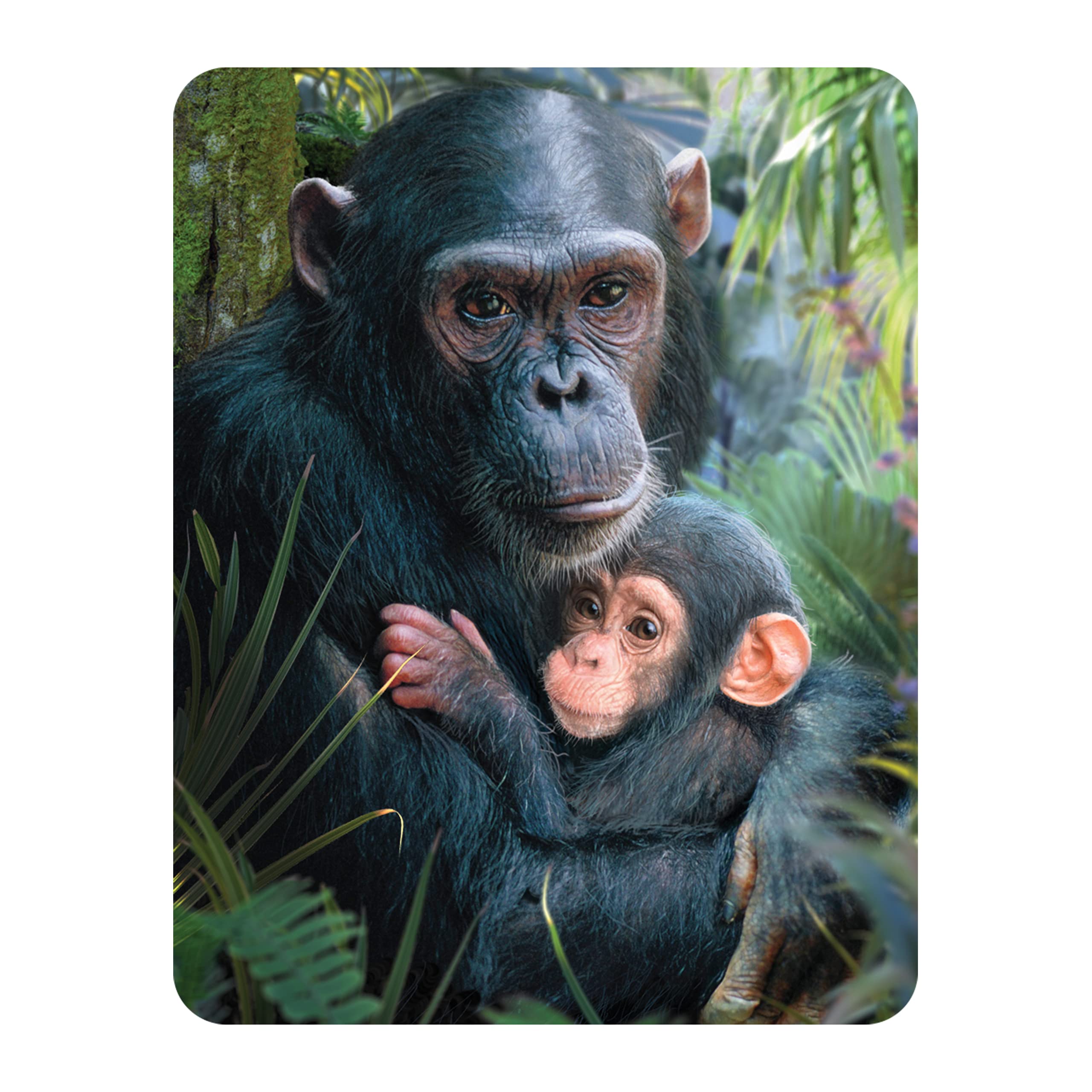 3D LiveLifeMagnet - Cute Cuddles from Deluxebase. Lenticular 3D Chimpanzee Fridge Magnet. Magnetic decor for kids and adults with artwork licensed from renowned artist, David Penfound