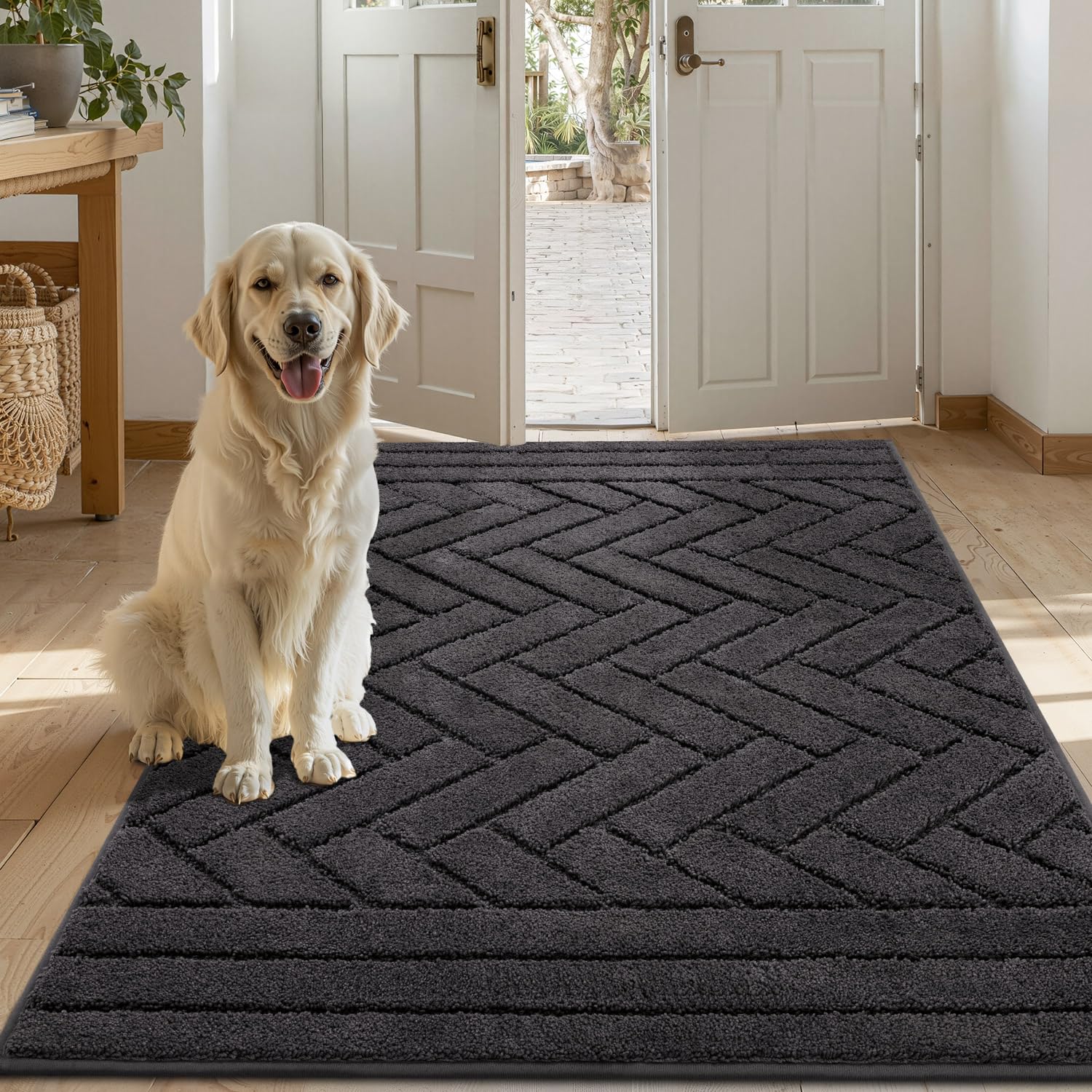 Tindbea Large Dog Door Mat Dirt Trapper