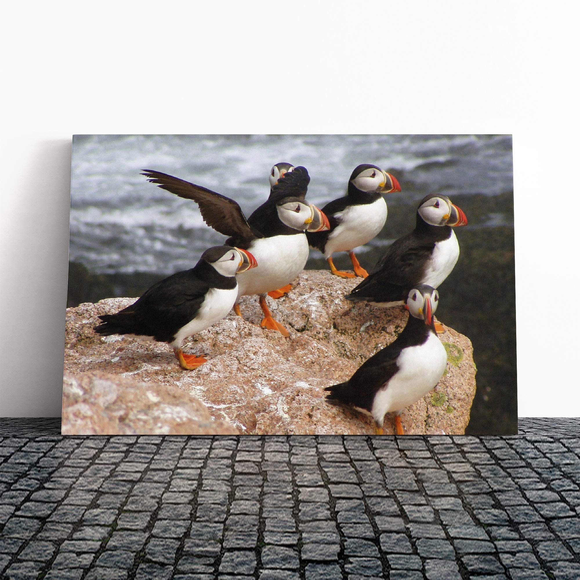 Atlantic Puffin Birds Canvas Print | Gallery Wrapped 30mm Frame Wall Art | 24x16 inches | Ready to Hang | Modern Bird Picture | Living Room Bedroom Lounge Office