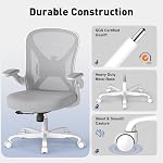 Chaise de bureau ergonomique avec support Lombaire réglable, chaise de bureau Mesh Home avec bras et roues rabattables, gris