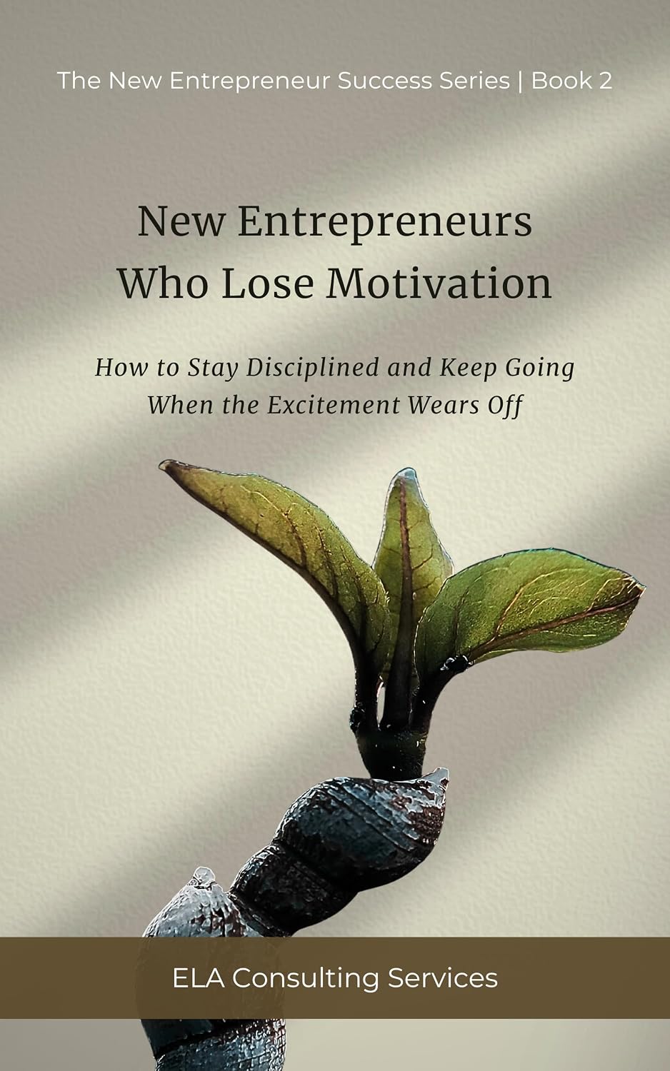New Entrepreneurs Who Lose Motivation: How to Stay Disciplined and Keep Going When the Excitement Wears Off