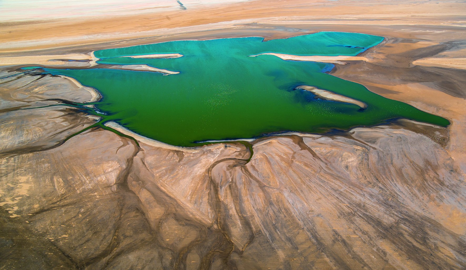 The Namib Desert: Art, Structures, Colors