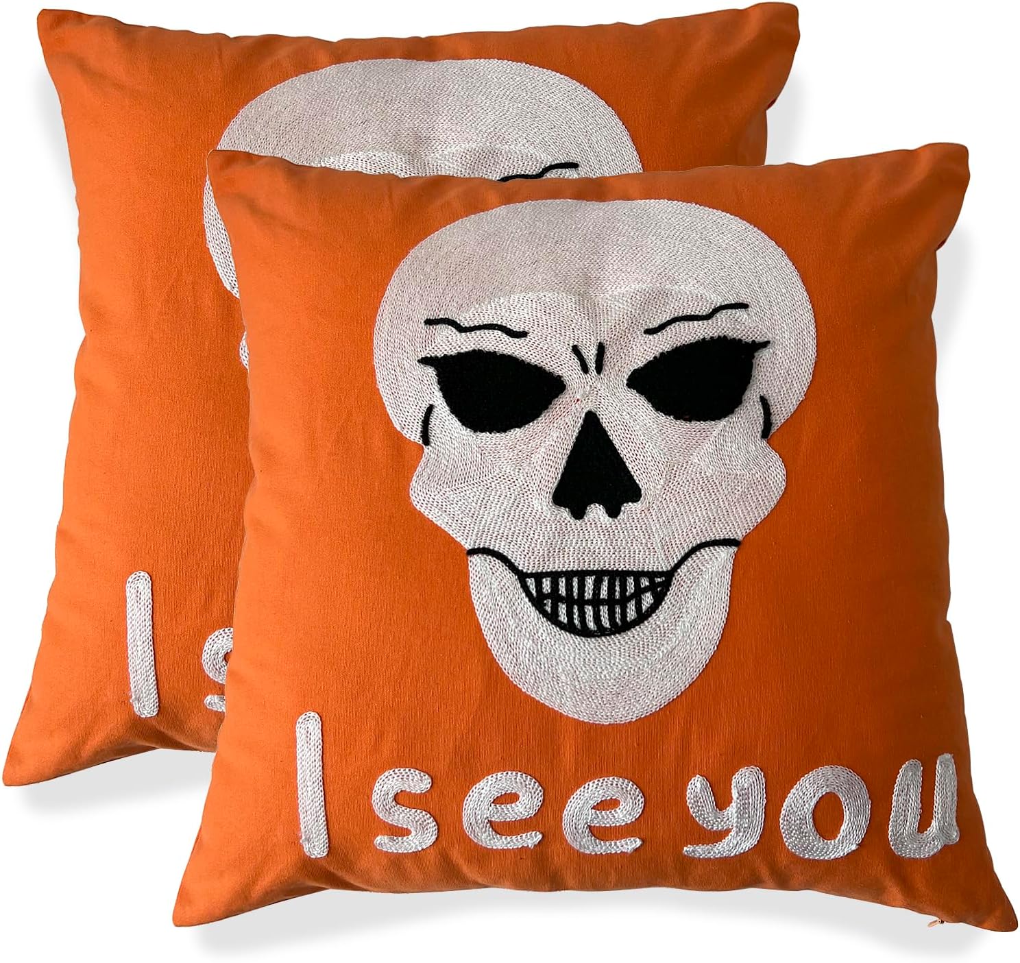 PerseveranceTrade Pack of 2 Embroidered Throw Pillow Covers