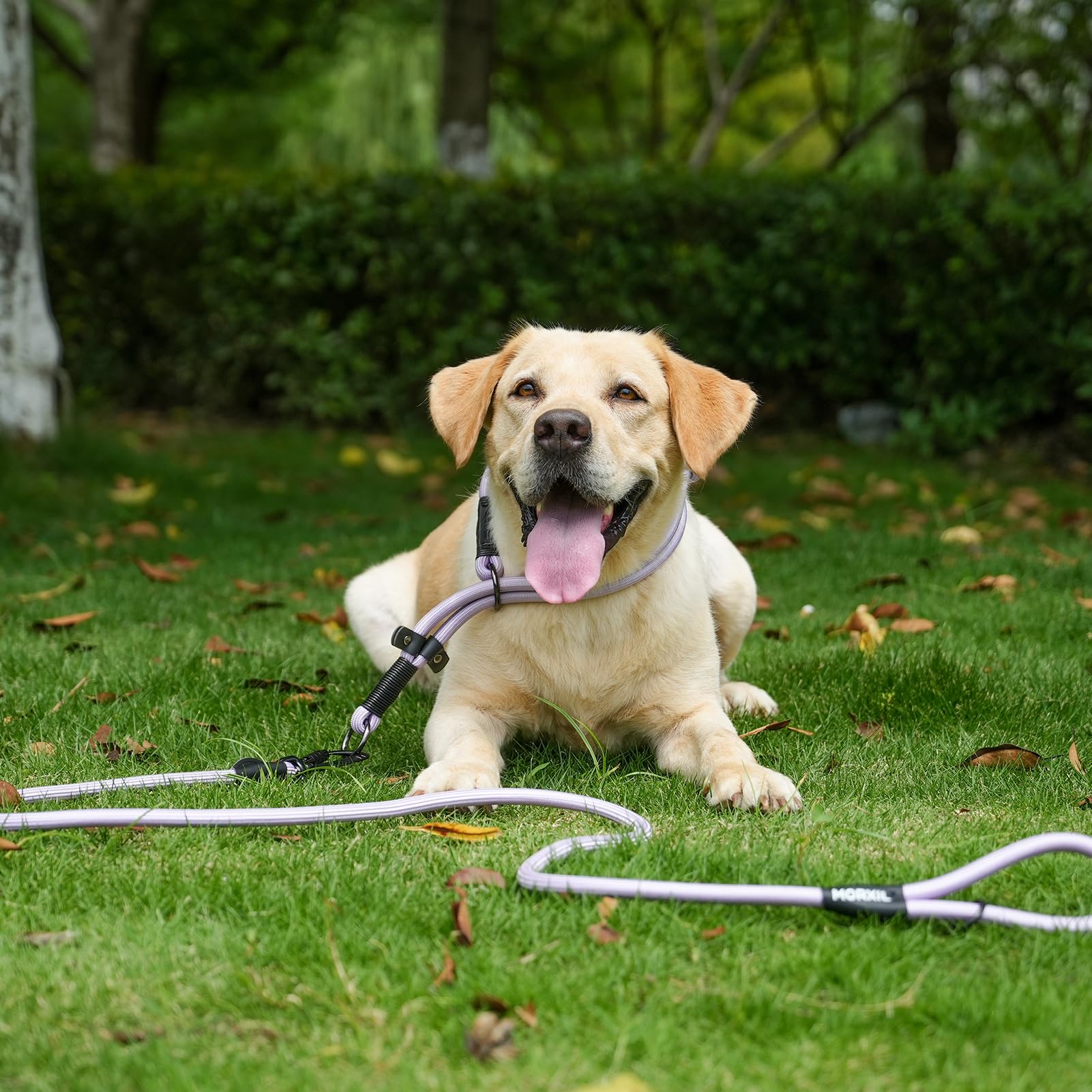 Correa de perro de cuerda con dos asas, correa de perro resistente de 6 pies con mosquetón de bloqueo automático de aluminio de aviación, correa de nailon fuerte para perros pequeños, medianos