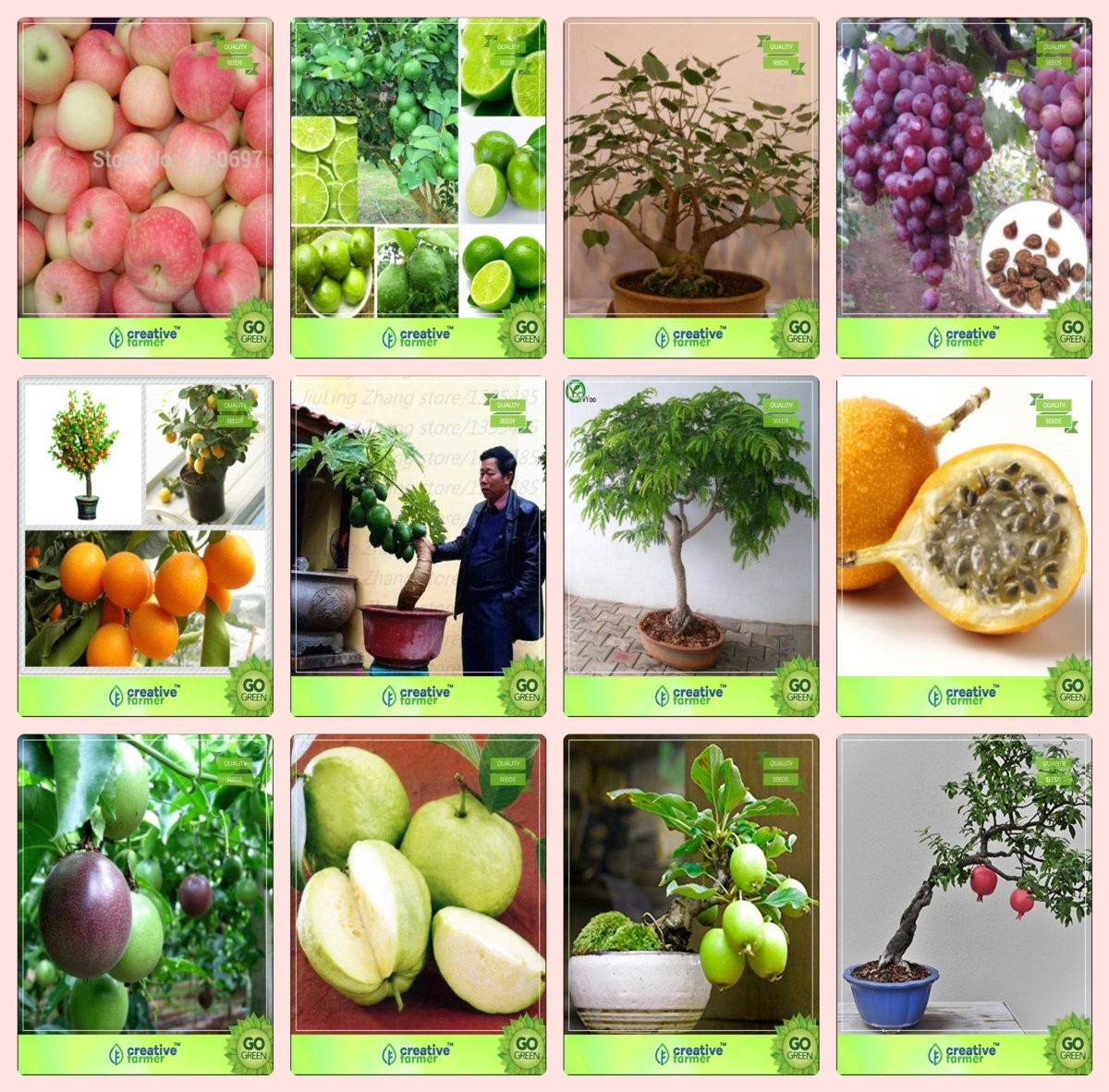 Creative Farmer Bonsai Suitable Seeds : Best Pot Suitable Combo Apple, Lemon, Ficus Religiosa, Grapeorange,Papaya,Tamarind,Passion Fruit - Yellow and Others -1 Packs