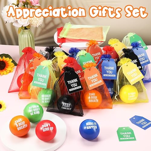 Miniatura 4 de Lenwen 72 piezas de regalos de agradecimiento a los empleados, incluyendo 2.5 pulgadas bolas motivacionales para el estrés para adultos alivio de