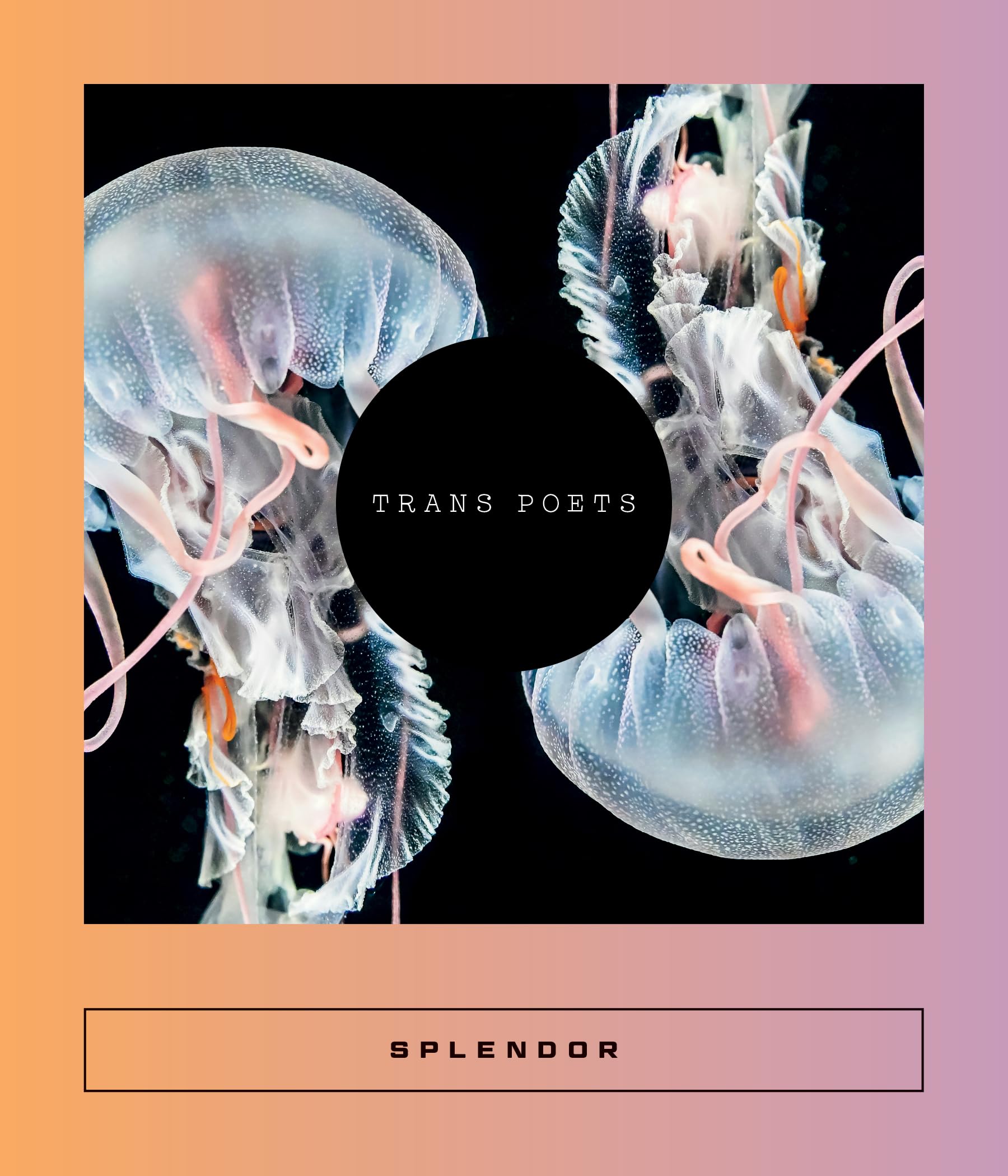 Splendor: Trans Poets: 14 (Calico)
