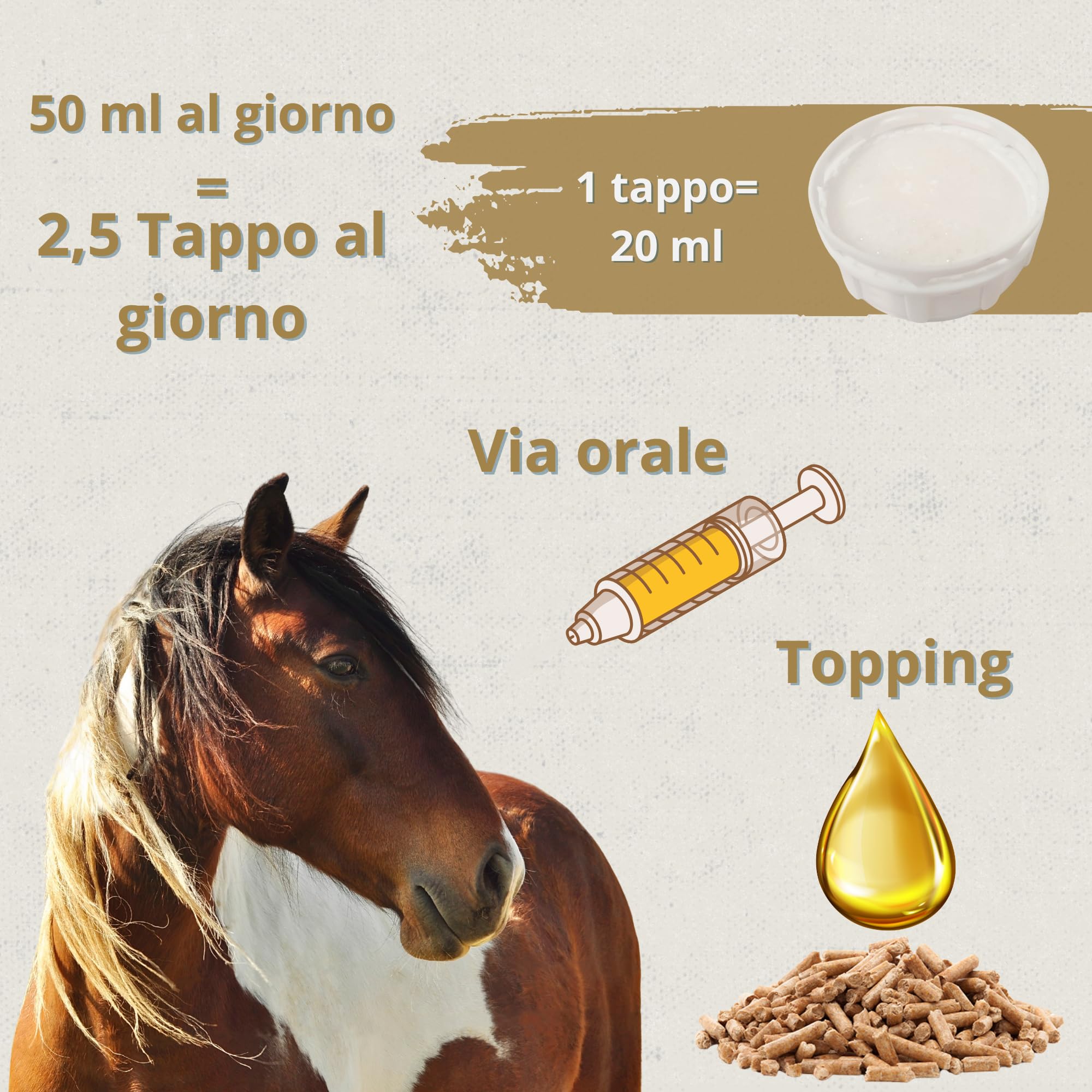 Skingcare - Integratore Dermatologico per Cavalli - 1L | Omega 3 6 9 con semi di Lino, Camelina, Girasole e Salmone: | Supporto Nutrizionale per Pelle Secca e Manto Opaco