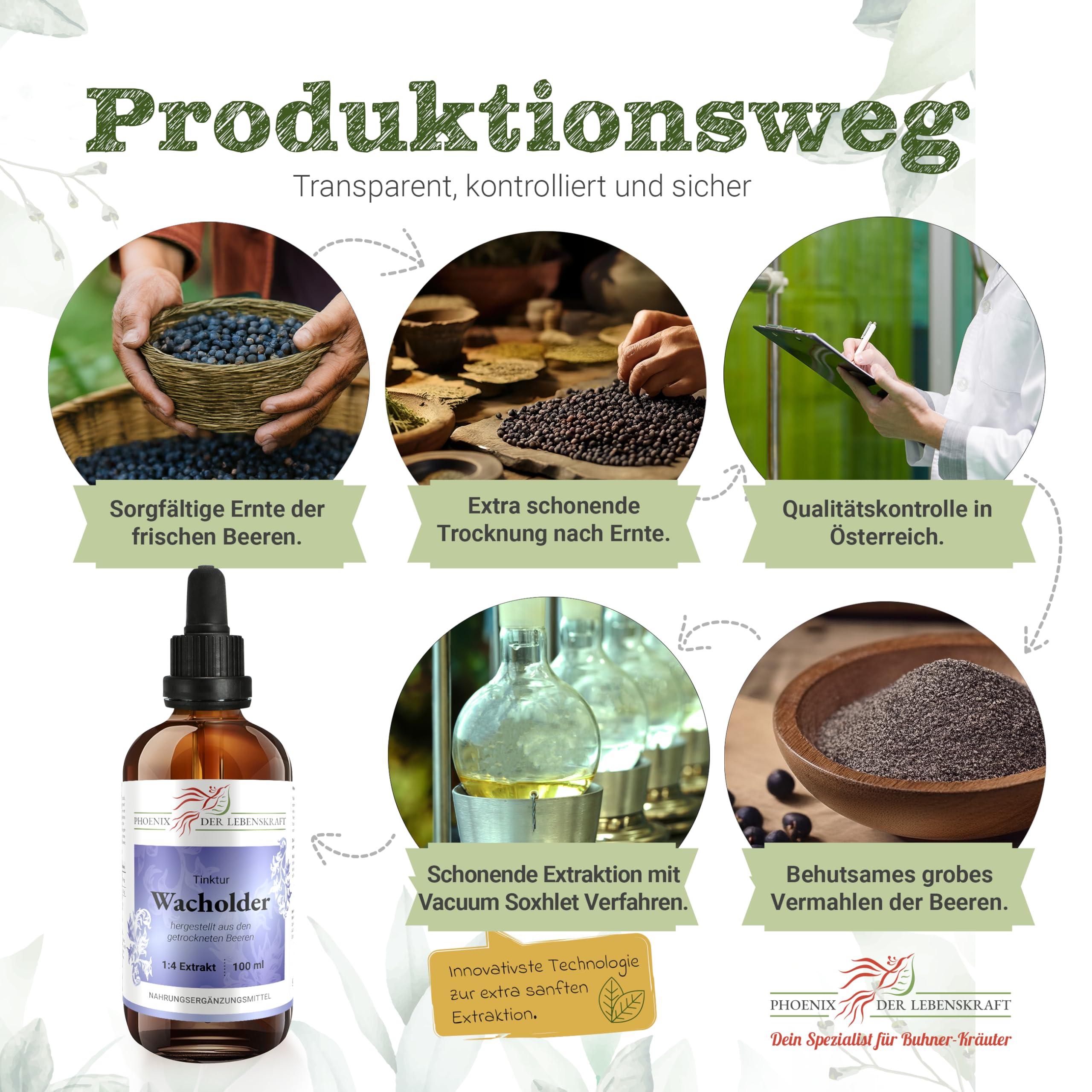 Wacholder Tinktur, 100 ml, Juniperus communis Tropfen (1:4 Extrakt), Premium Qualität, Hergestellt in Österreich, Nahrungsergänzungsmittel, Vegan