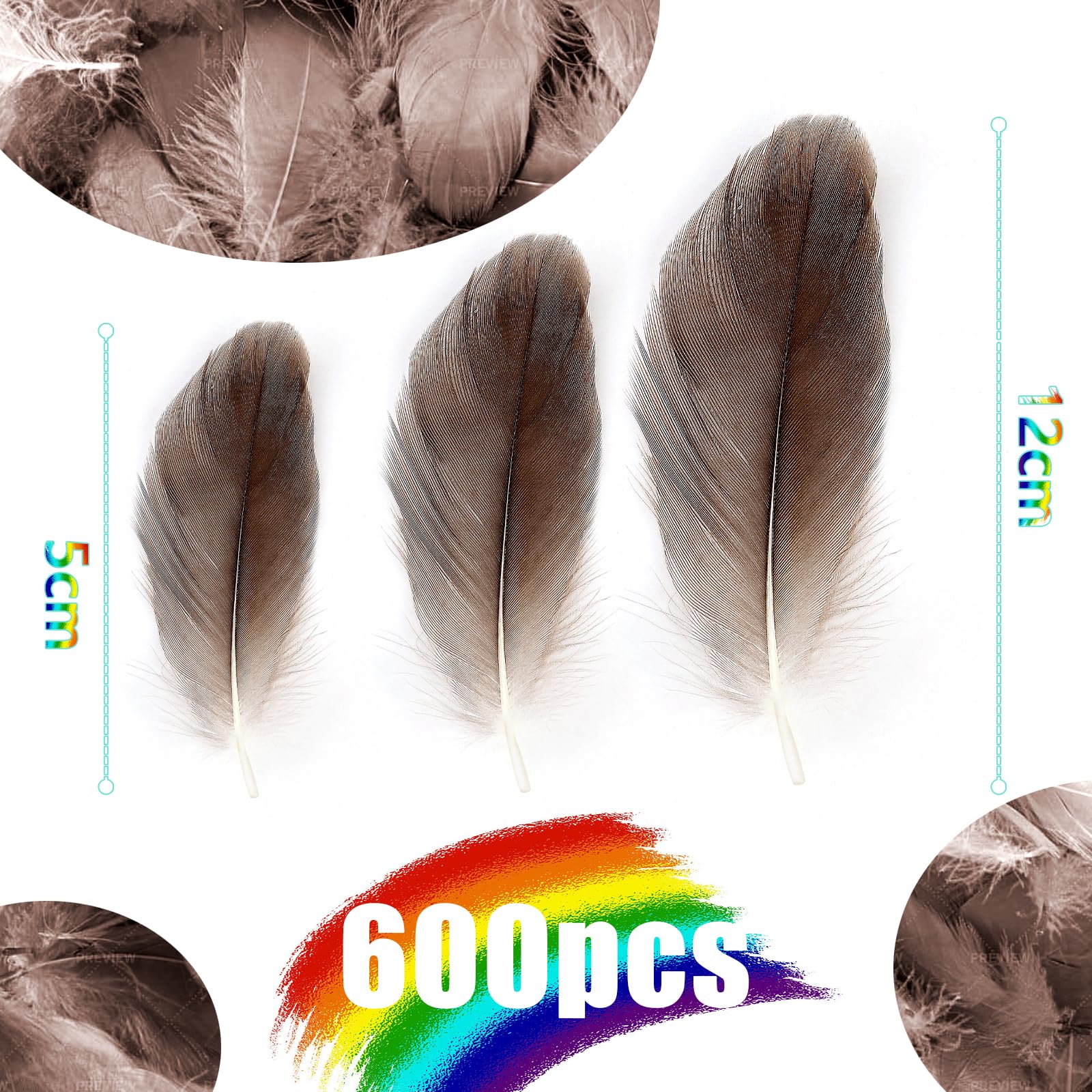 Mbsomnus 600 Pcs Feathers for Crafting Natural Color Feathers Natural Craft Feathers 5-12 cm Feathers for DIY Crafts Dream Catcher Earrings Headdress Feather Flowers Wedding Party Holiday Decoration - Image 3