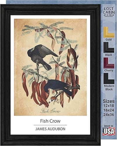 Vista 268 de Towee Bunting by James Audubon - Marco biselado negro de 12 x 16 pulgadas, decoración artística enmarcada para pared, reproducción de pinturas