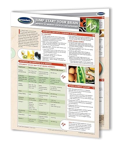Jump Start your brainProductividad Guía de referencia rápida por permacharts