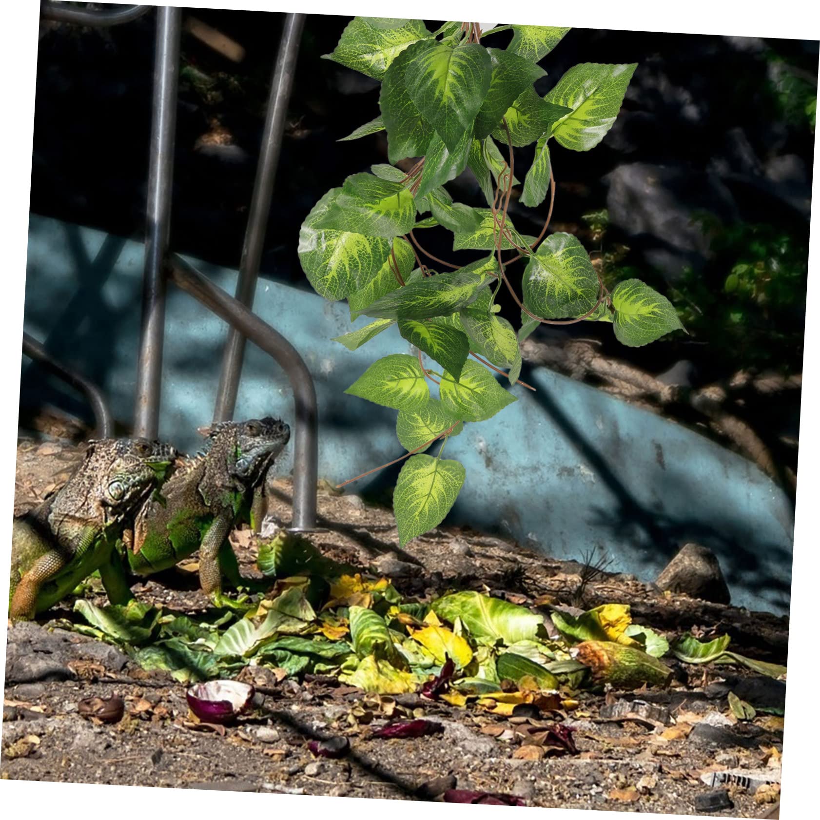 minkissy 3 Plantas De Reptiles Vibrantes Y Decorativas para Terrario Seguras para Animales.