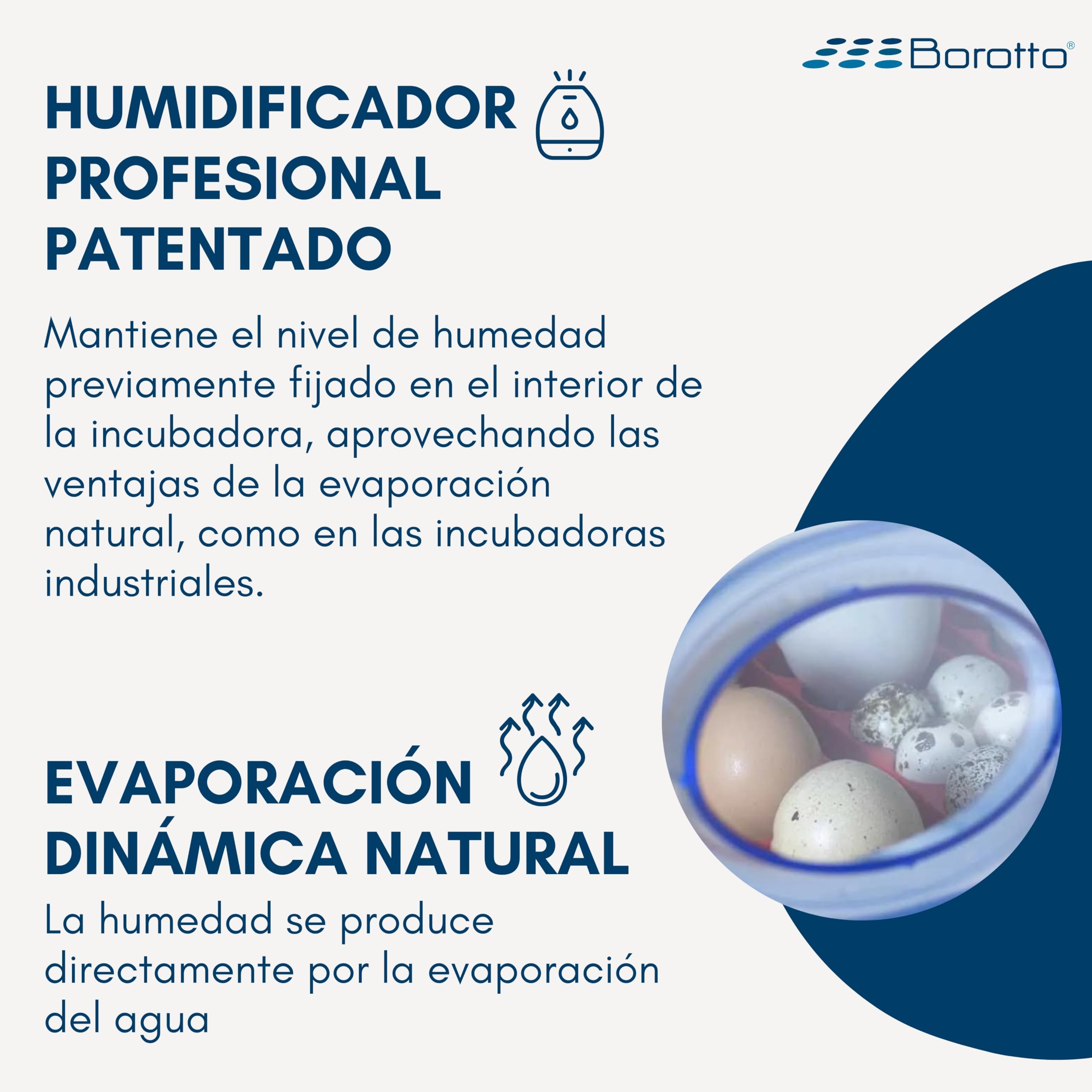 Borotto Sirio | Humidificador Profesional Patentado y Automático, con Evaporación Dinámica, Compatible con Todas las Incubadoras de Huevos | Fabricado en Italia
