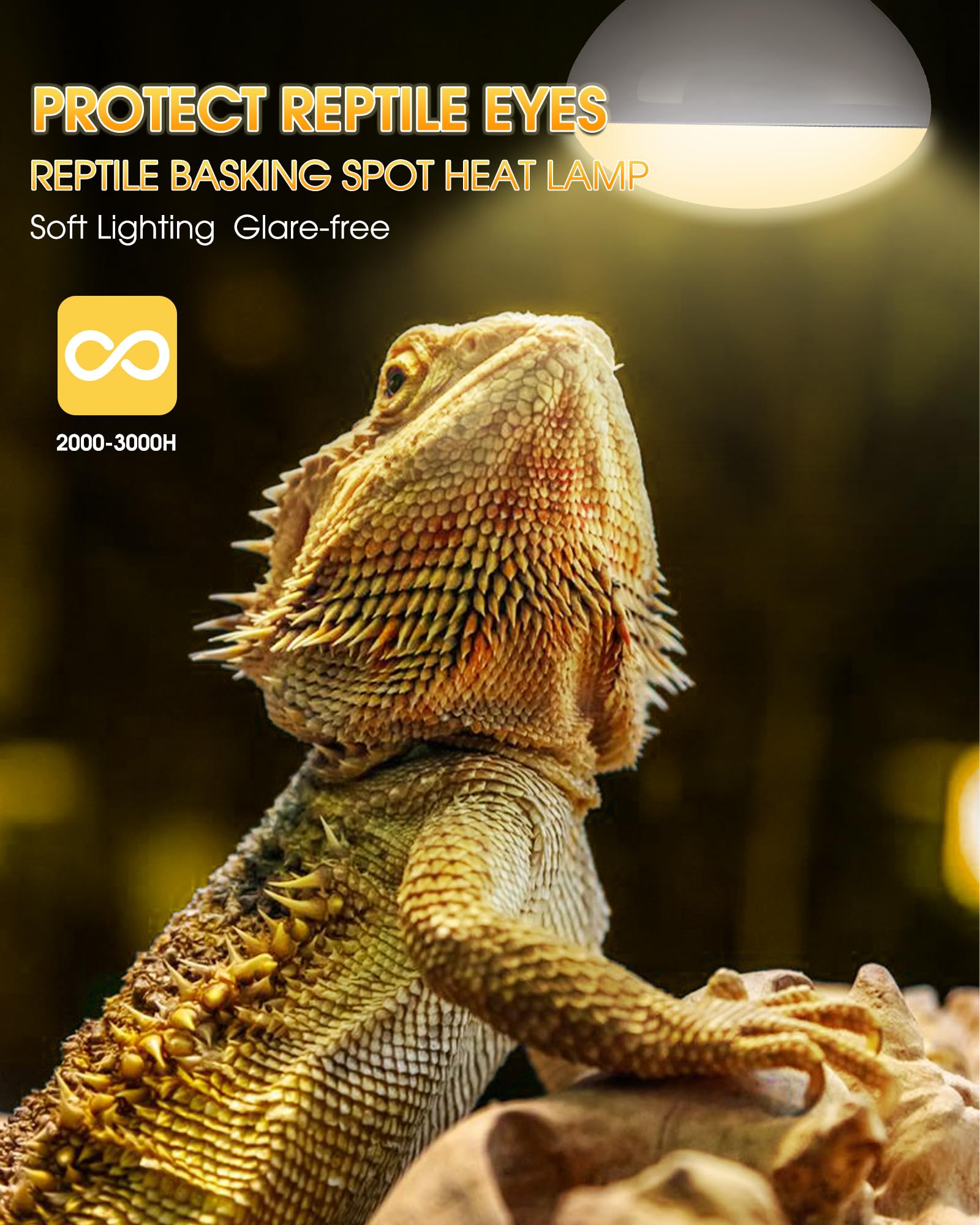 Reptile Heat Lamp Bulbs -100W UVA Natural Daylight Heating Lamp Basking Bulb for Bearded Dragon, Basking Spot Floodlight Light for Reptiles, Lizard, Turtle, Snake Bathroom, Plants,Chickens Pets,2 Pack - image 4