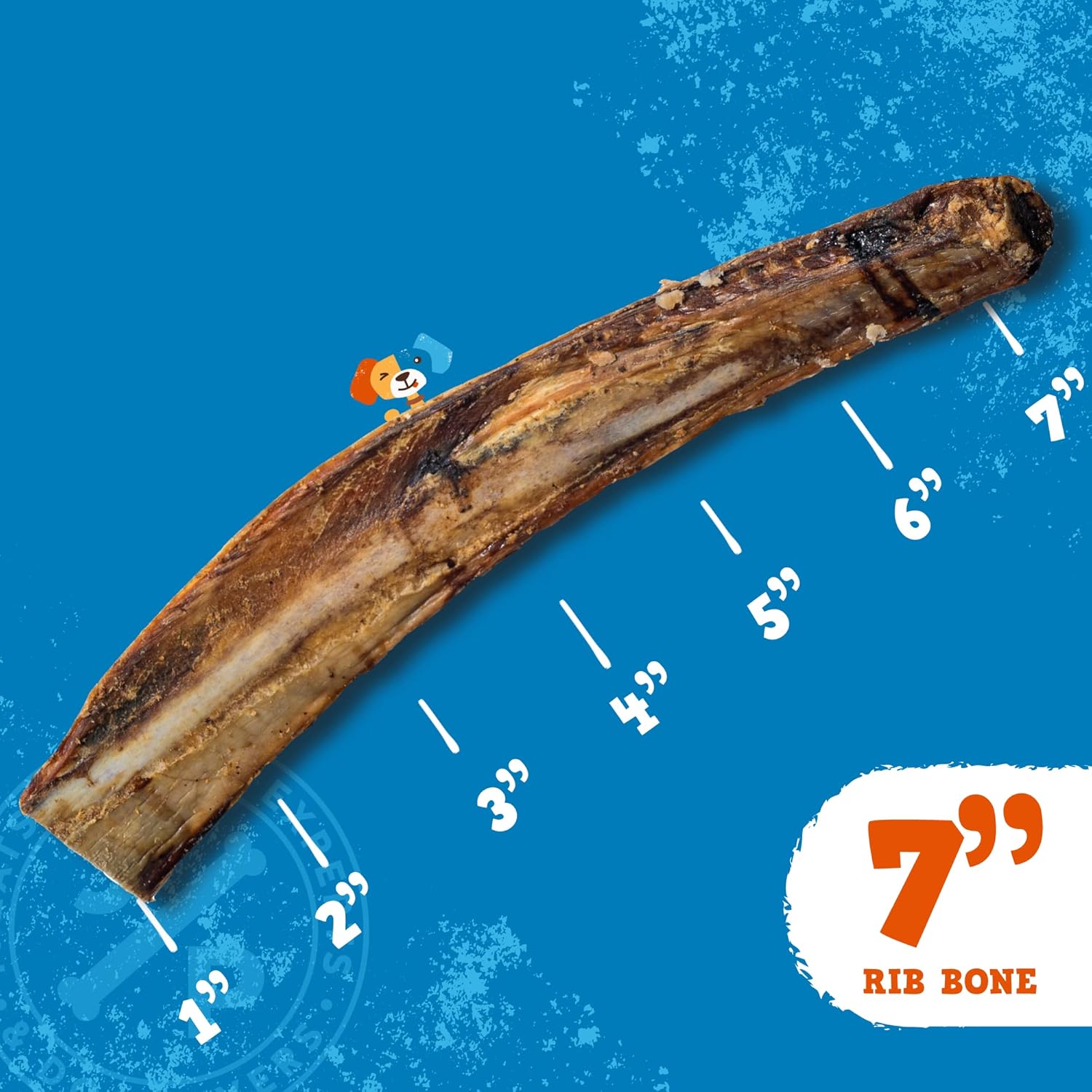 Jack&Pup Premium Grade Roasted Beef Ribs Dog Bone Treats – 7” Long All Natural Gourmet Dog Treat Chews – Savory Smoked Beef Flavor (8-Piece Pack) : Pet Supplies