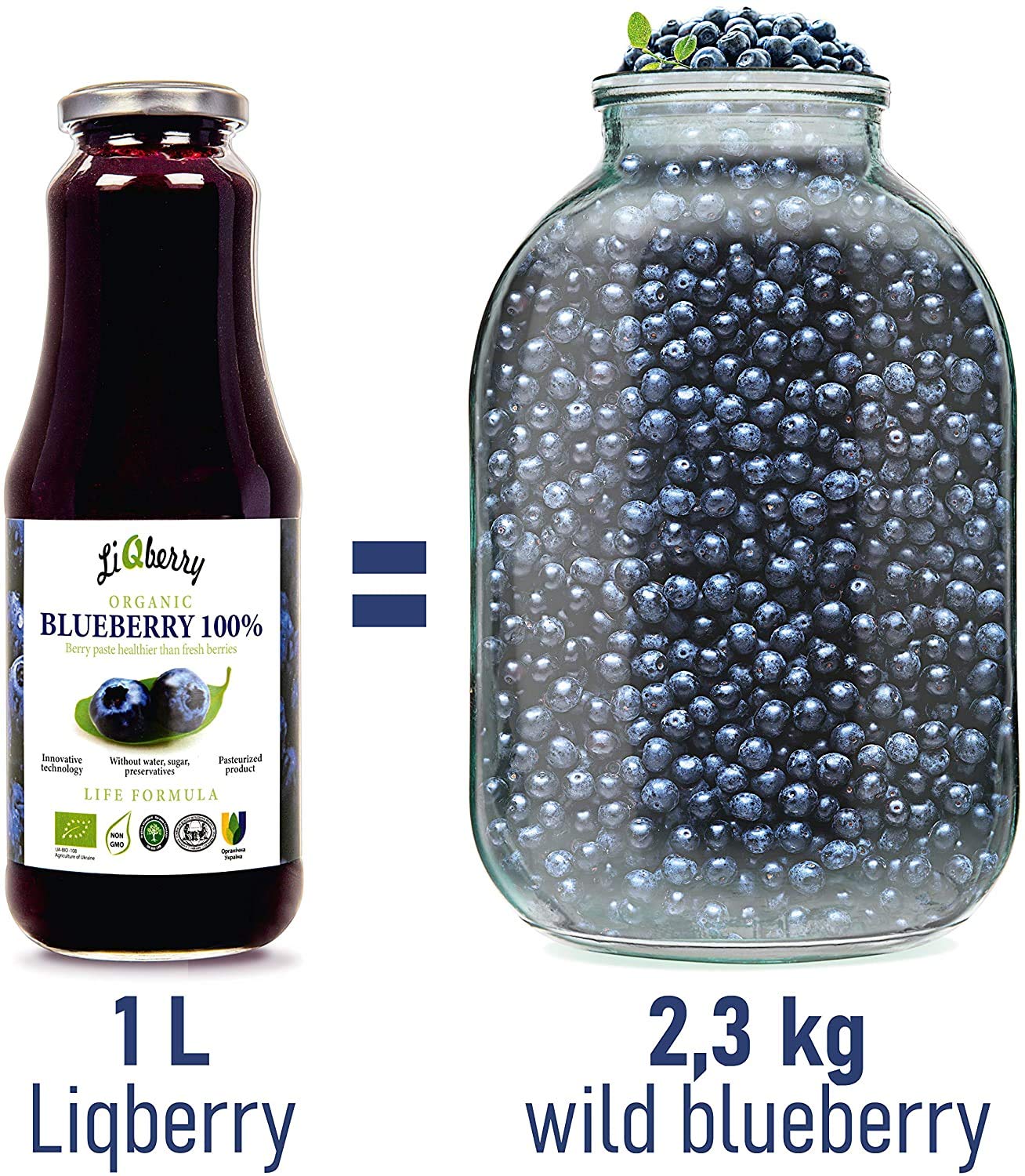 Arándano Azul Silvestre Orgánico Pasta Fresca, Obtenido Únicamente a Partir de Cáscaras y Semillas de Bayas, Sin Aditivos, 1 L, LiQberry