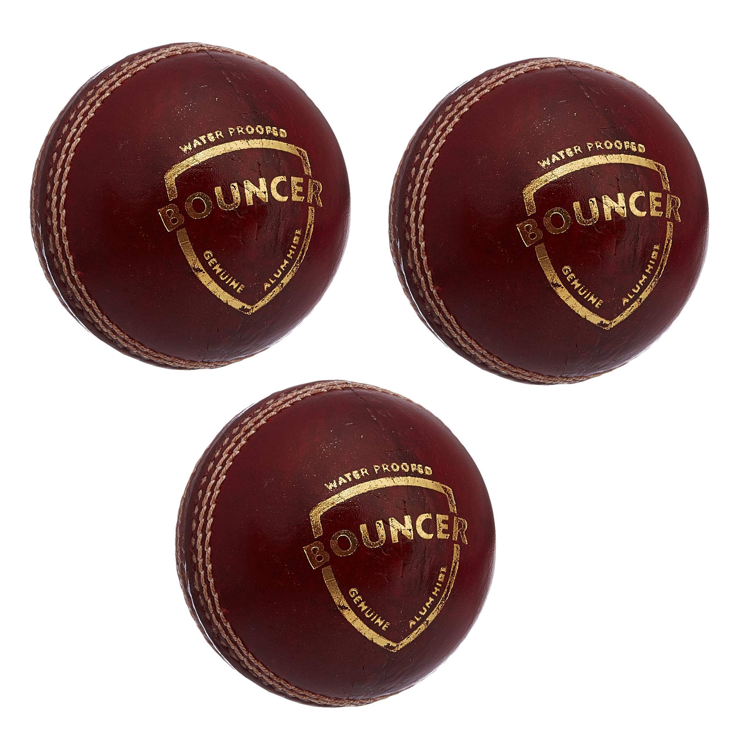 SG Bouncer Leather Ball, Pack of 3 (B07JWDCQX7) Amazon Price History, Amazon Price Tracker
