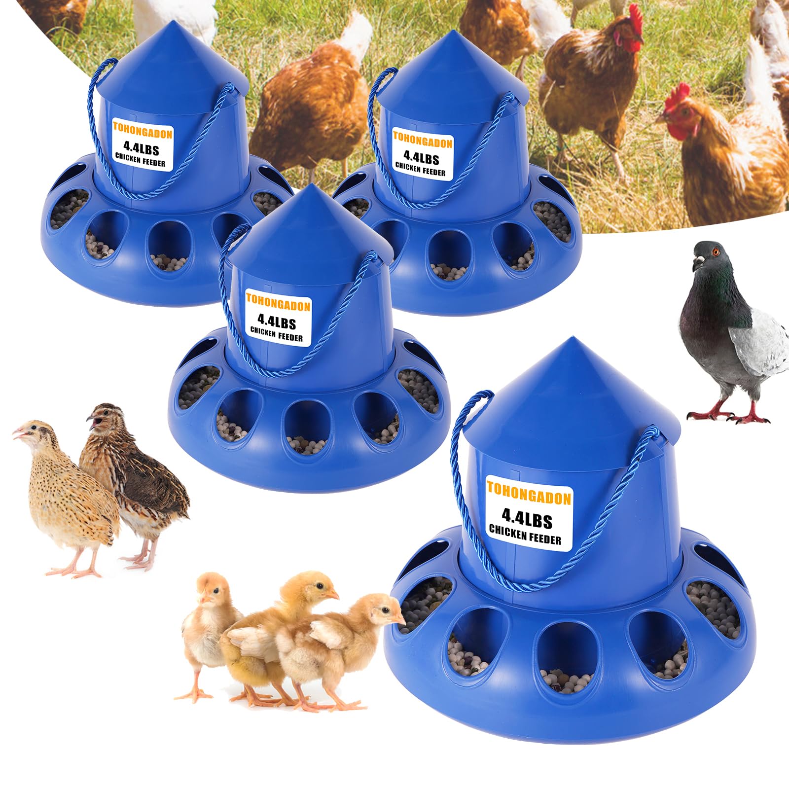 4Pack Chicken Feeders No Mess 4.4lb Hanging Feeding Dispenser Top Fill Chicken Feeder for Hens Chick Duckling Quail Pigeon Outdoor Feeder
