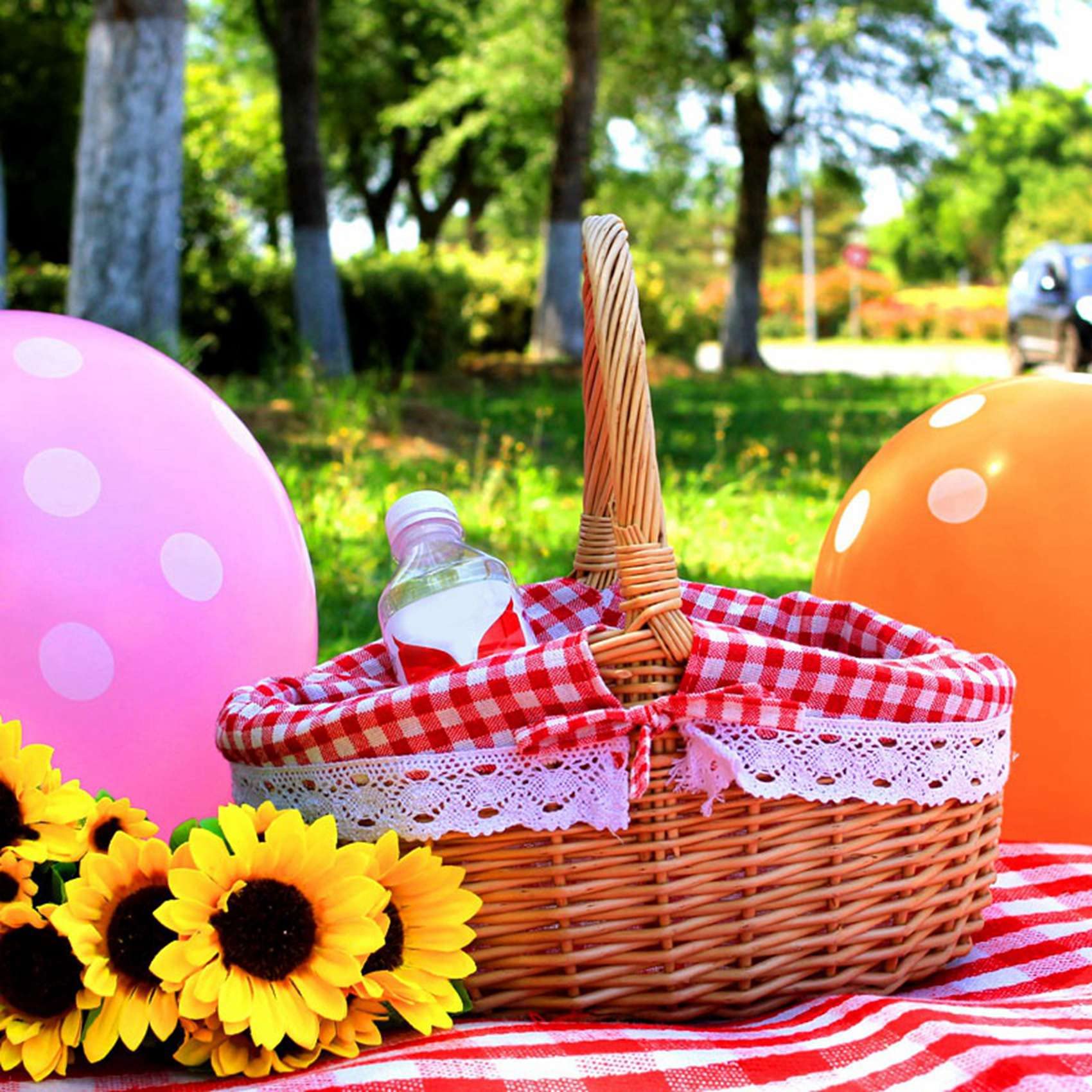 3X Cesta de Mimbre Cestas de Regalo Cesta de Picnic Tejida de Sauce Ovalada Vacía con Asa Cesta de Boda Pequeña