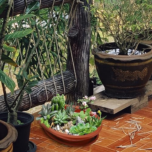 Miniatura 9 de ERINGOGO Macetas de entrenamiento para bonsái  15 macetas ovaladas para bonsái con bandeja de drenaje, maceta de bonsái, maceta de plástico para