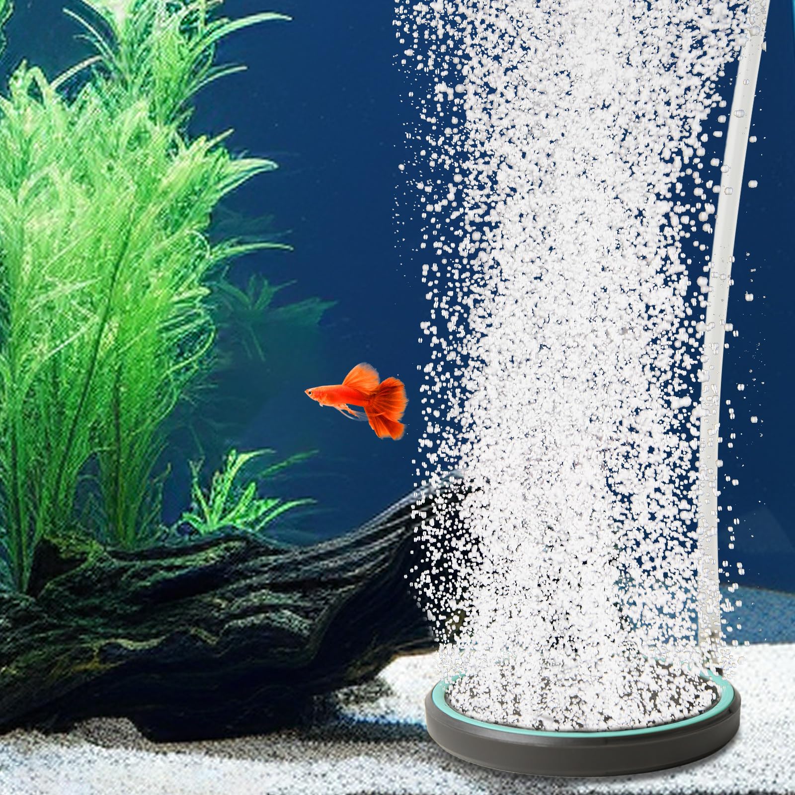 Diffuseur d'oxygène dissous silencieux boxtech avec nano-aérateur aquarium