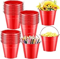 Vista 1 de Rtteri 24 cubos pequeños de metal con asa, mini cubos a granel para recuerdos de fiesta de Pascua, soporte para lápices de aula, maceta, cesta
