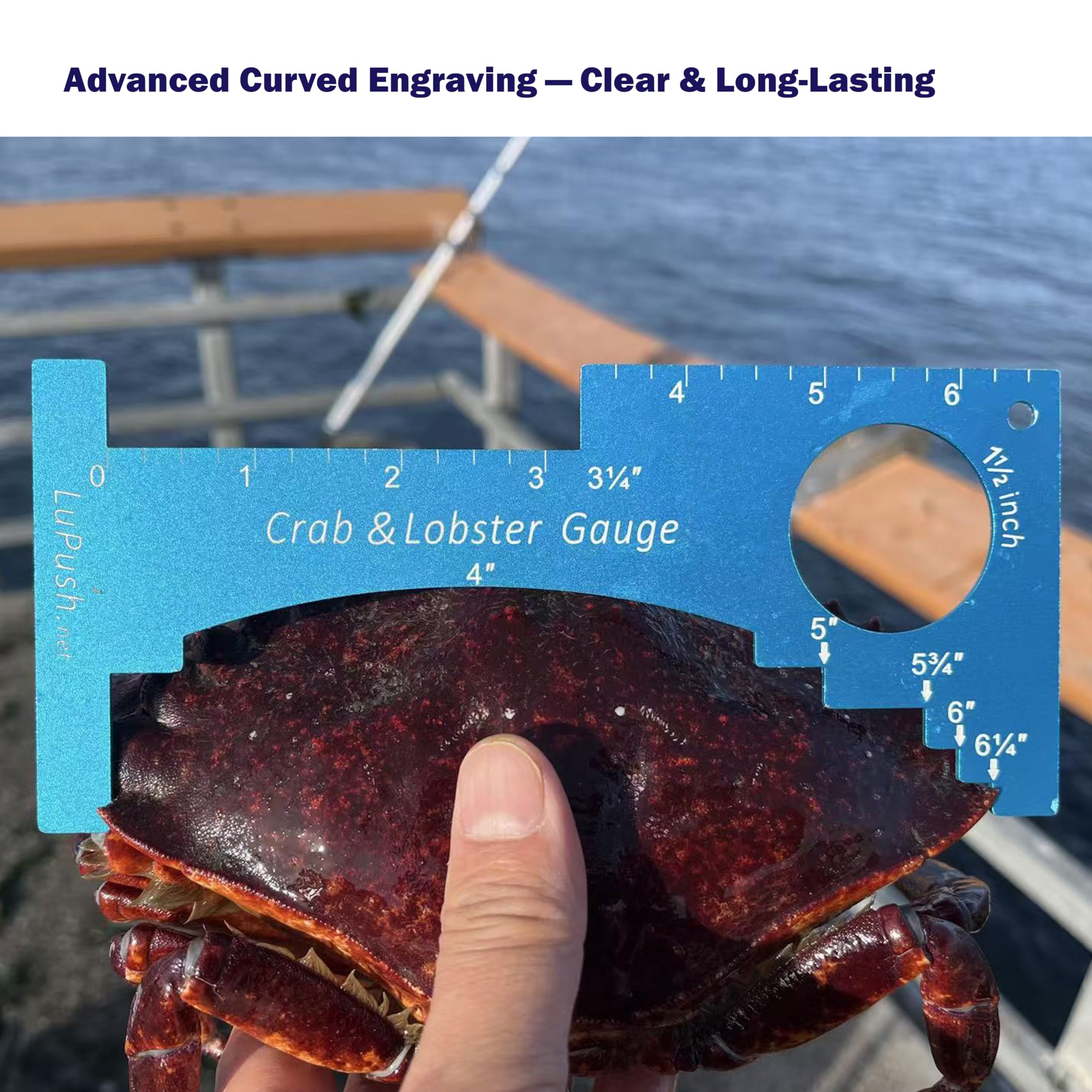 Crab Gauge & Lobster Ruler - Heavy Duty -8