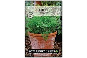 Sow Right Seeds Compact Dill Seeds for Planting