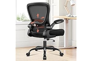 KERDOM Ergonomic Office Chair