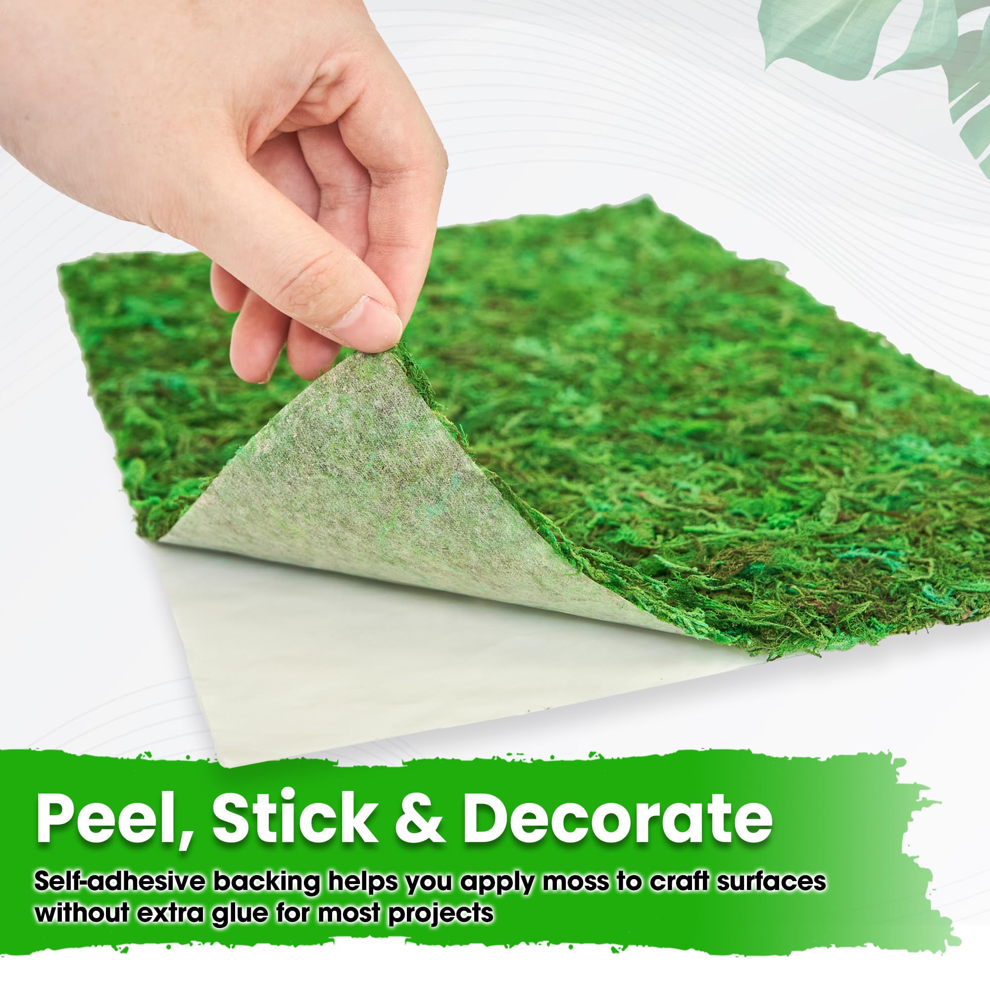 Amazon.com: DUSPRO 13x9.5 Inches Moss Mat 2Pcs, Peel and Stick