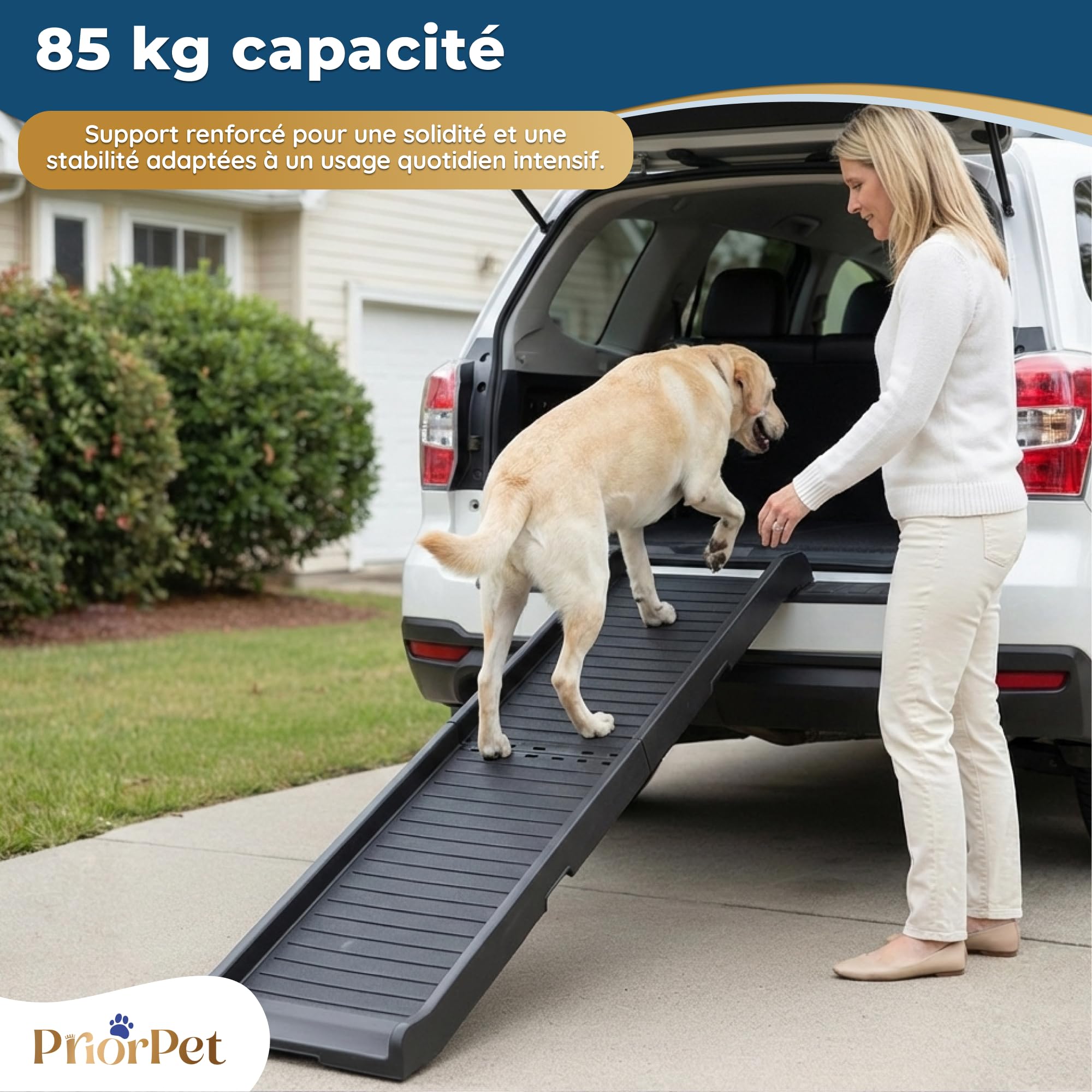 Rampe pour Chien Voiture Antidérapante Pliable 174 cm 38 cm 85 kg Noir