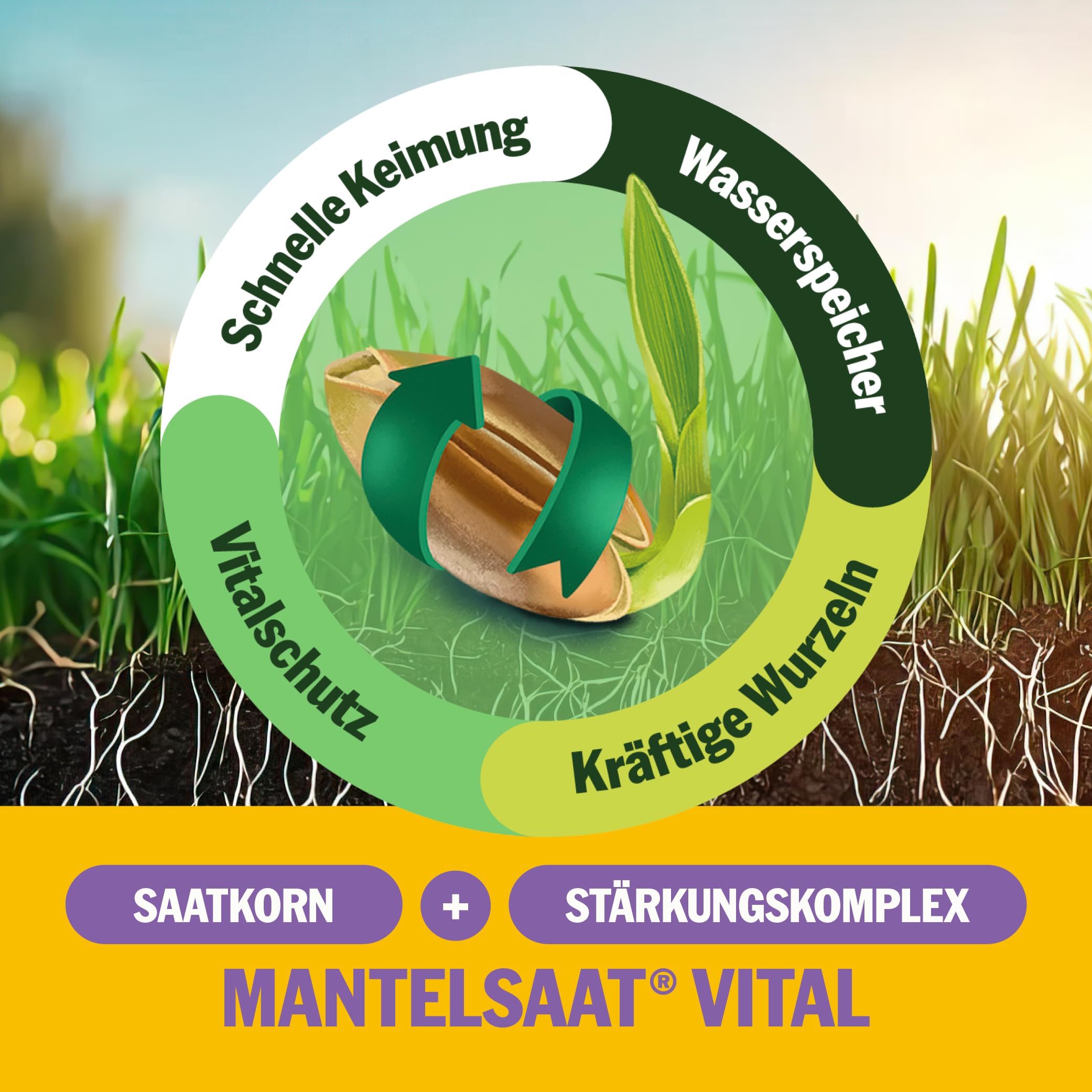 SUPERGREEN Nachsaatrasen Rasensamen | 5 kg für 500m² | Premium Nachsaat für dichten, sattgrünen Rasen | Schließt Lücken schnell & regeneriert Flächen | RSM Qualität & Mantelsaat® Vital