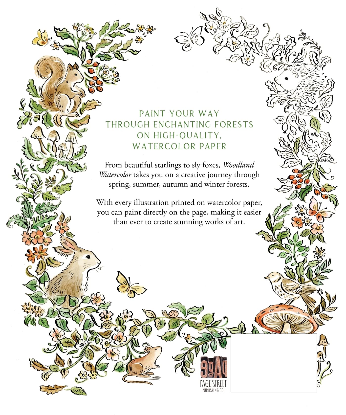 Woodland Watercolor: A Coloring Workbook
