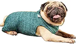 Roupa pós-cirúrgica unissex para PUG - Tam 4 peso 9 a 11kg - Pet Designer