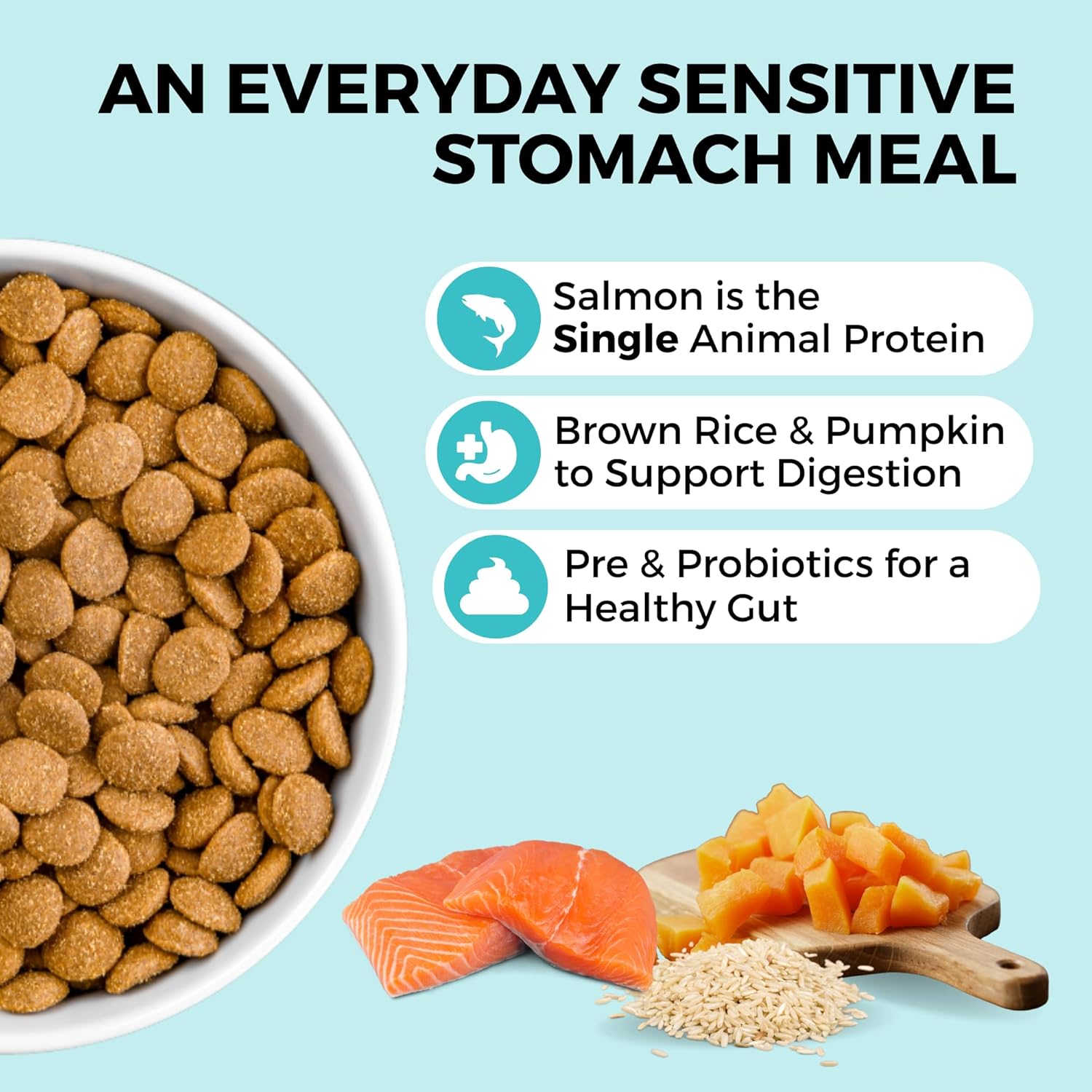 KOHA Limited Ingredient Bland Diet Dry Food for Dogs - Salmon & Brown Rice Recipe, Sensitive Stomach Dog Food with Pre & Probiotics - Pumpkin for Digestive Support, 20 lbs