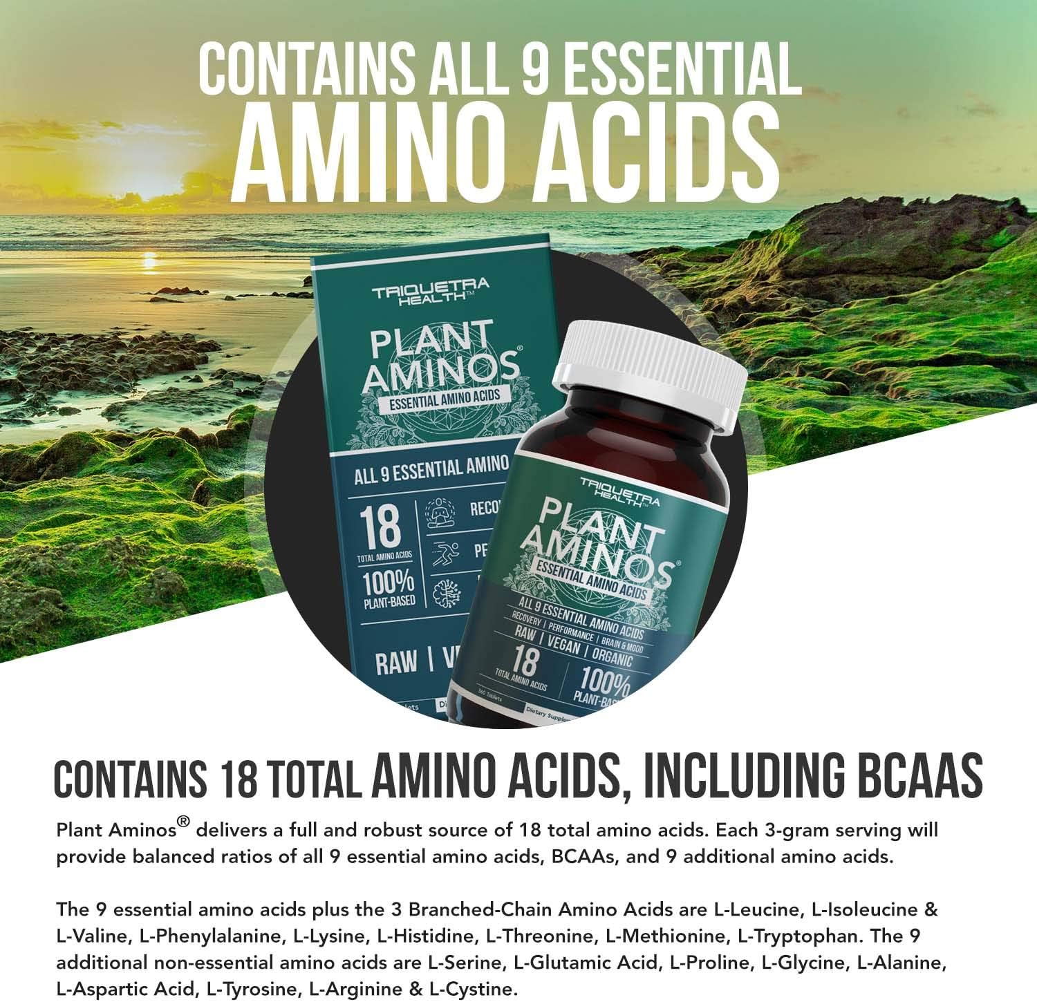 Plant Aminos Organic Essential Amino Acids (EAAs) & BCAA - 100% Plant-Based Raw, Vegan - All 9 Essential Amino Acids with 18 Total Amino Acids (360 Tablets) : Health & Household