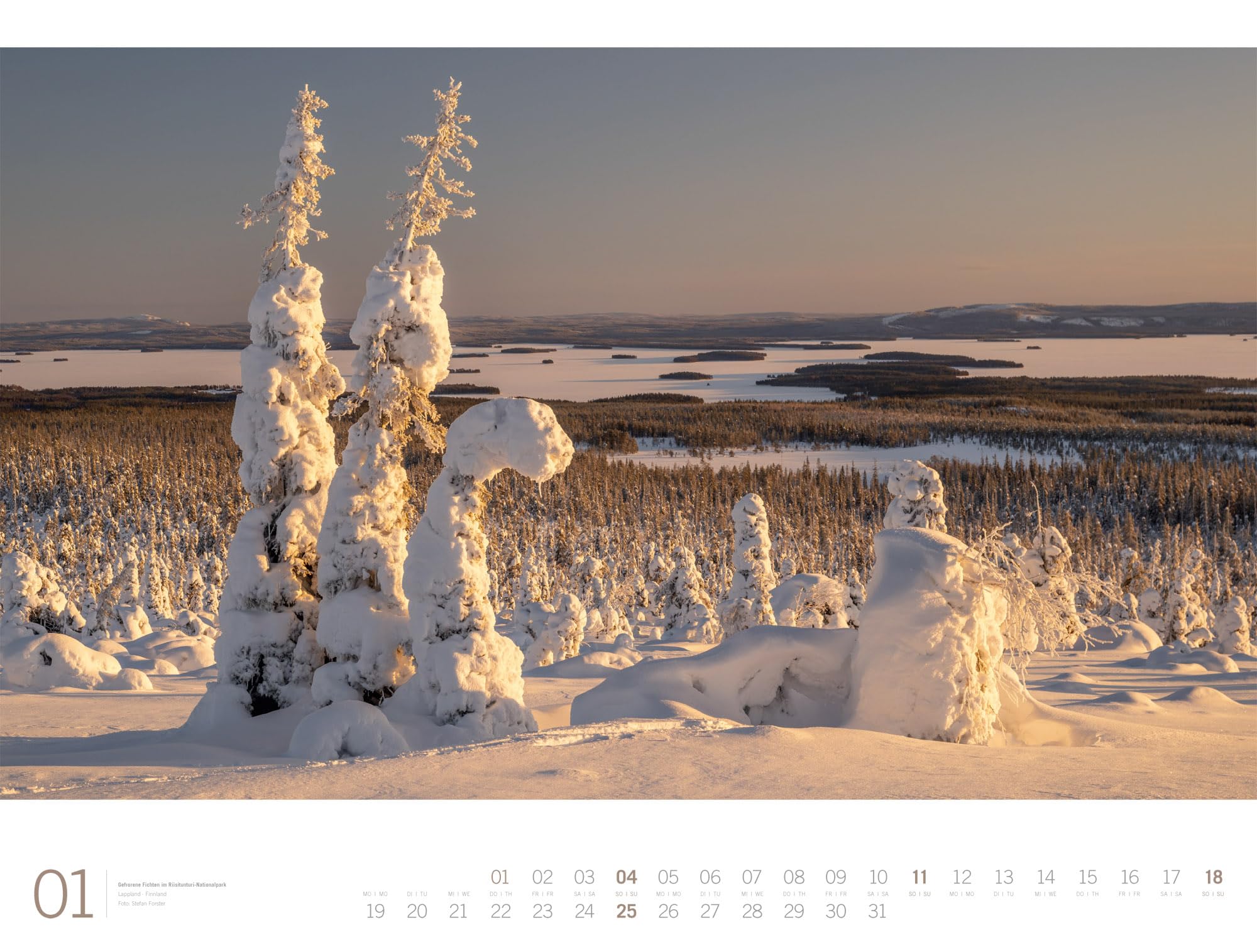 Wald Gallery Kalender 2026 | Geschmackvoller Natur-Kalender im großen Querformat (66x50 cm) | Wälder und Bäume im Großformat